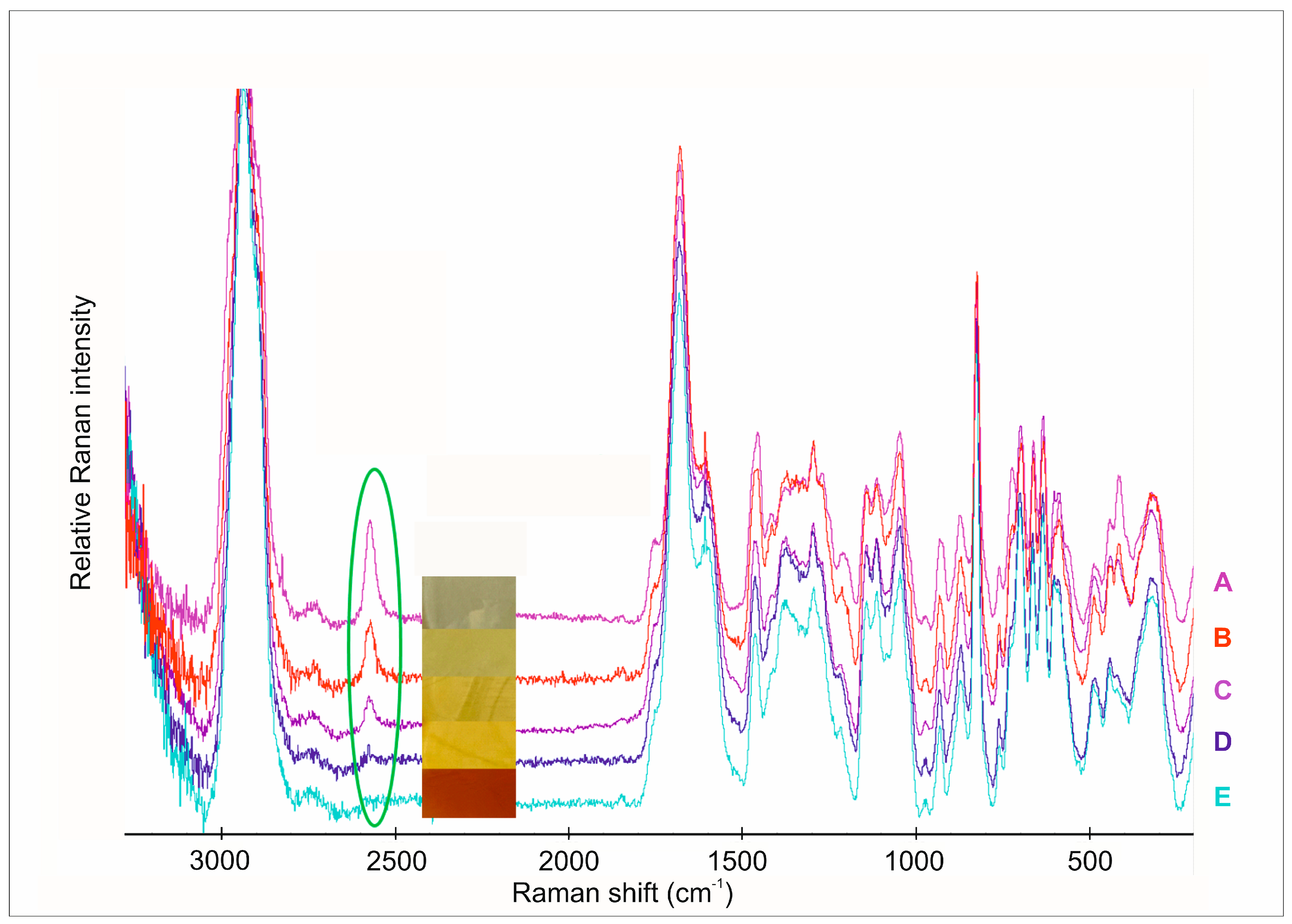 Pharmaceutics 17 00401 g003