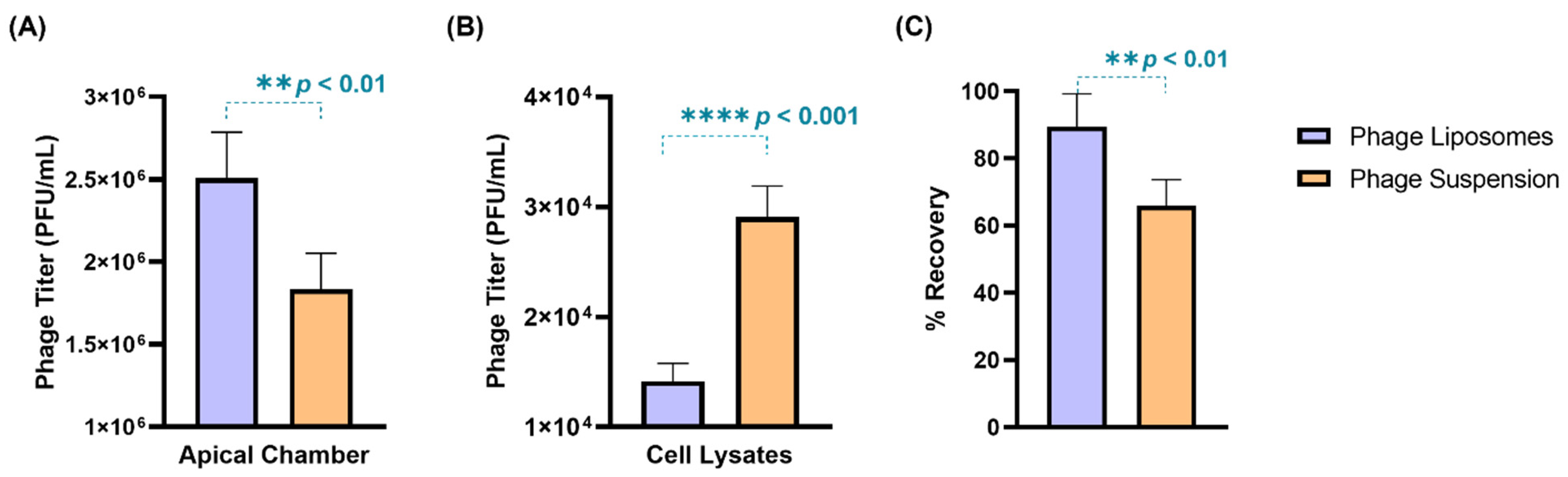 Pharmaceutics 17 00405 g004