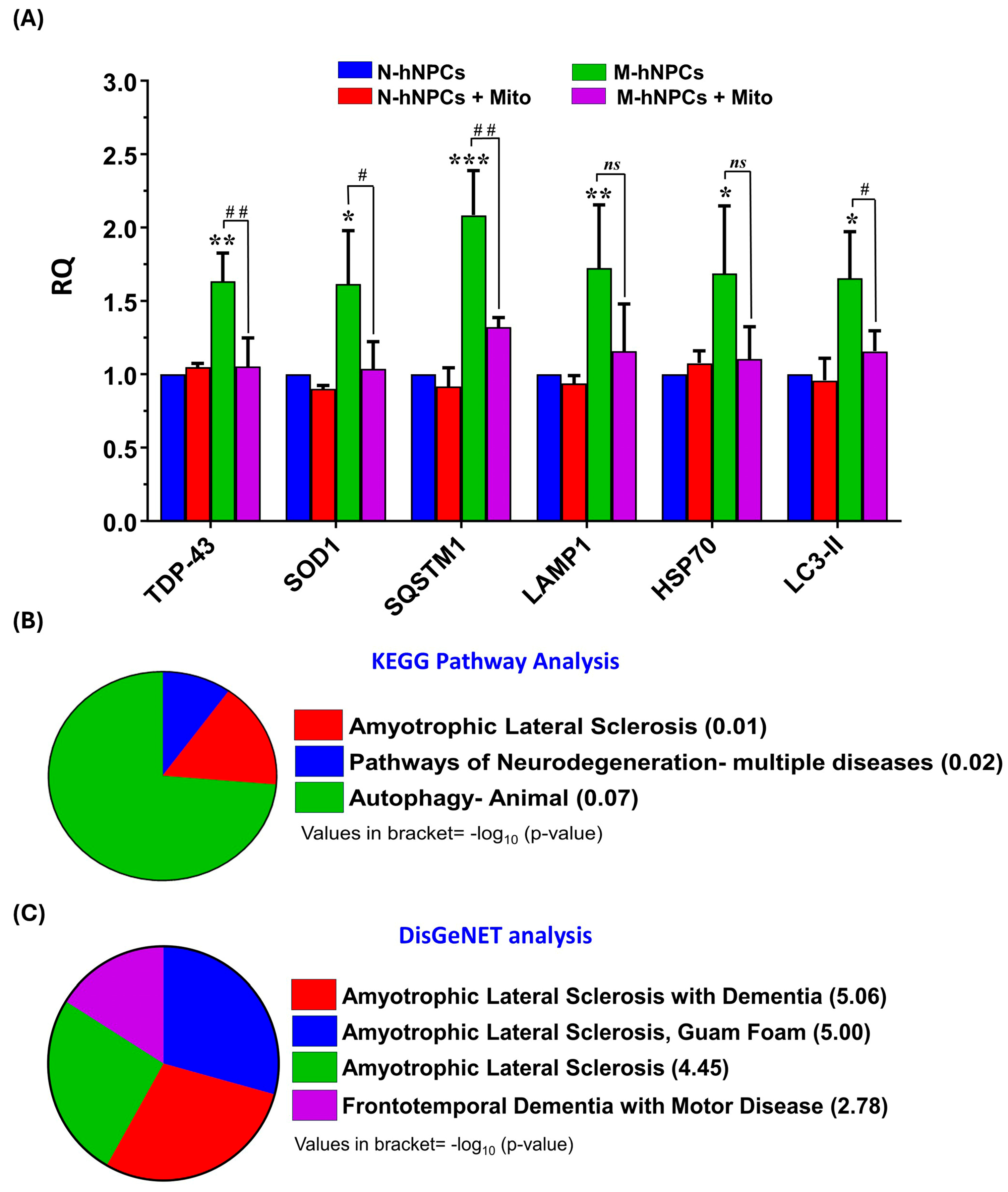 Pharmaceutics 17 00410 g004