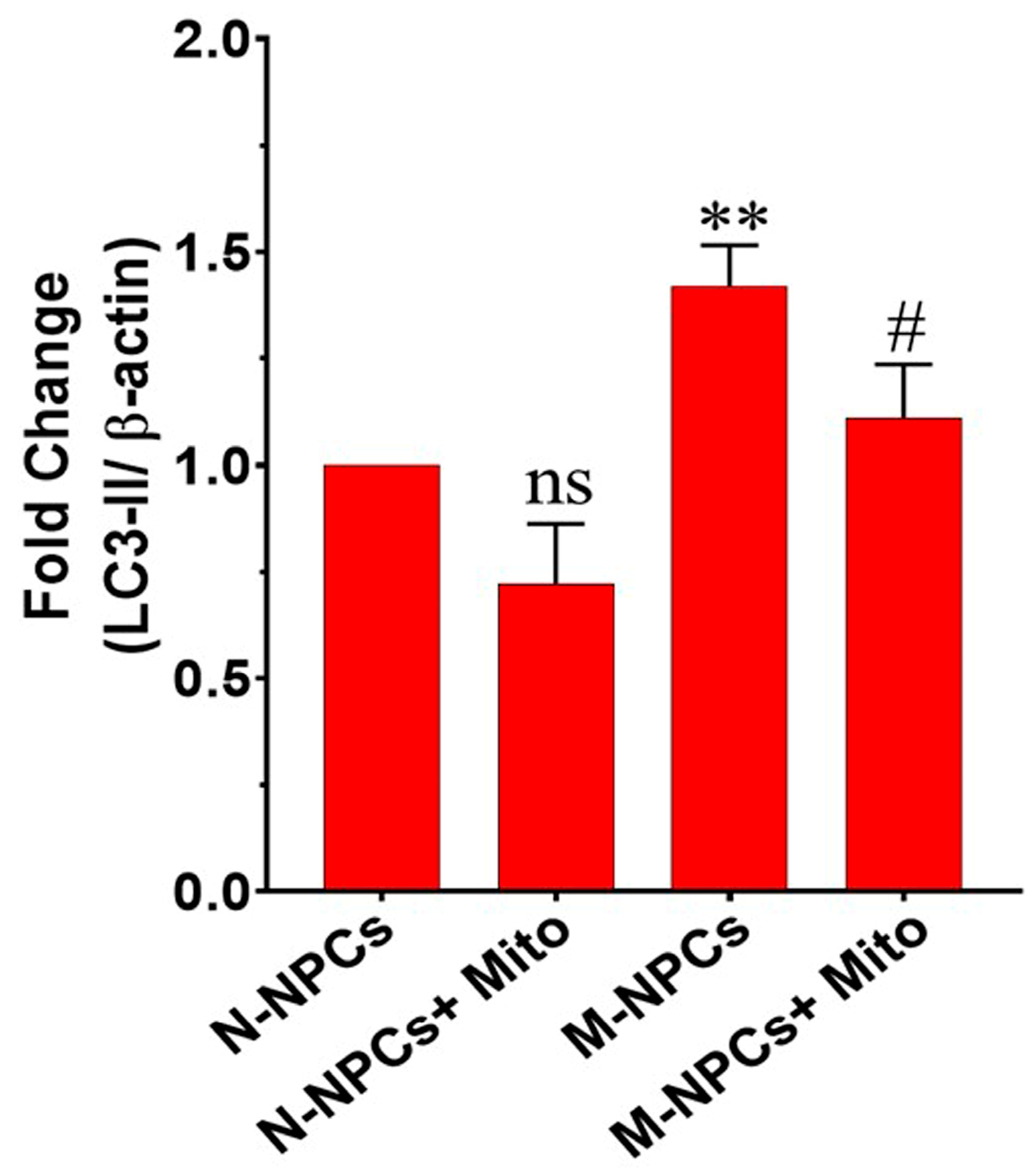 Pharmaceutics 17 00410 g006