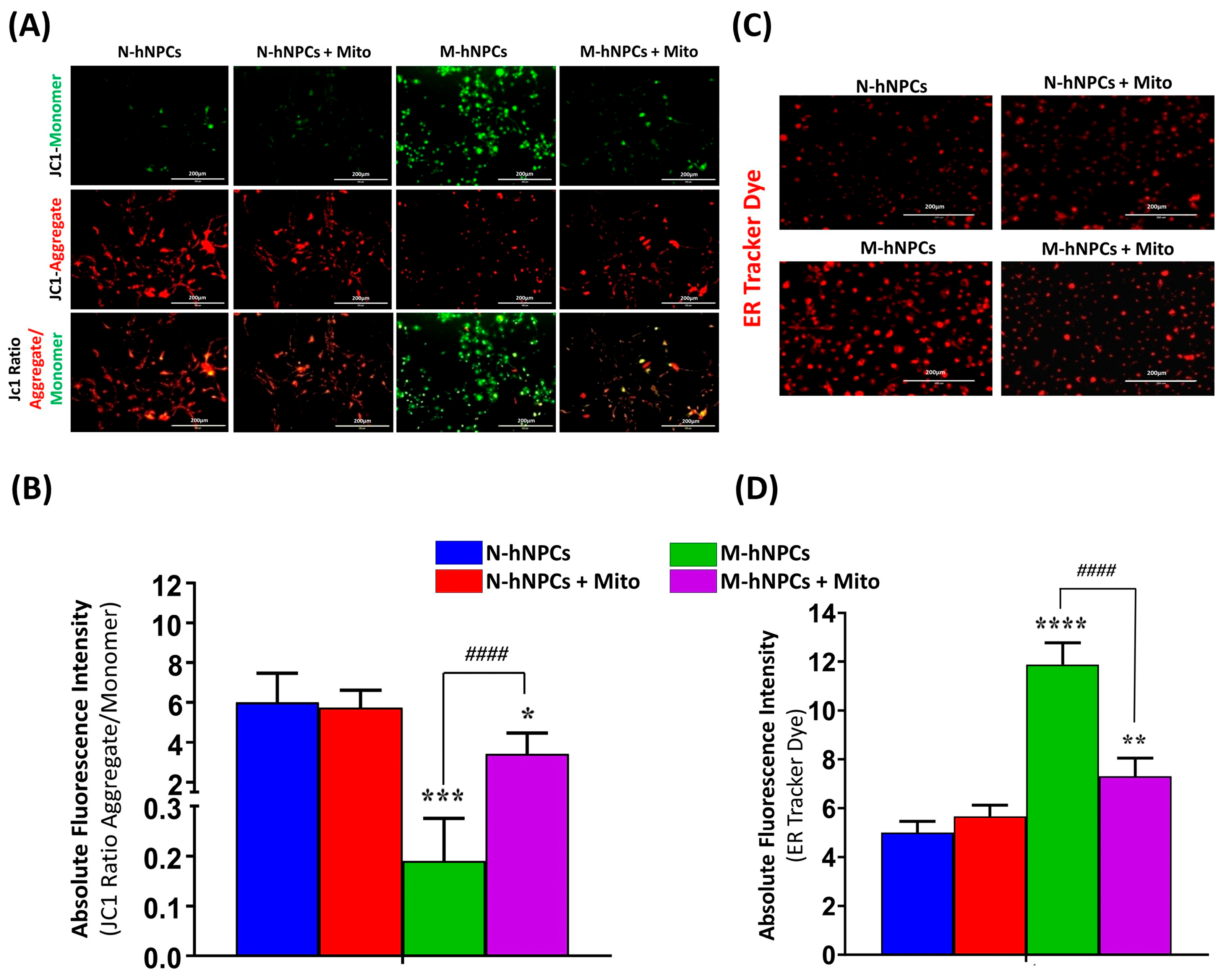 Pharmaceutics 17 00410 g008