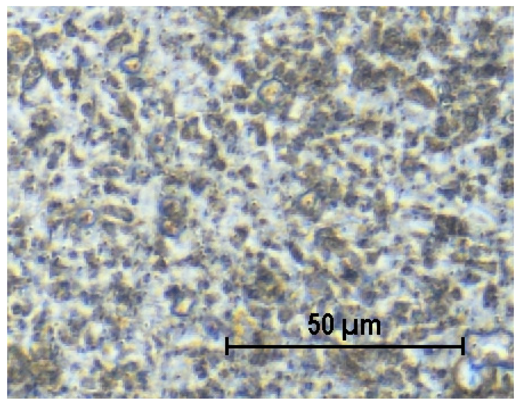 Pharmaceutics 17 00414 g003