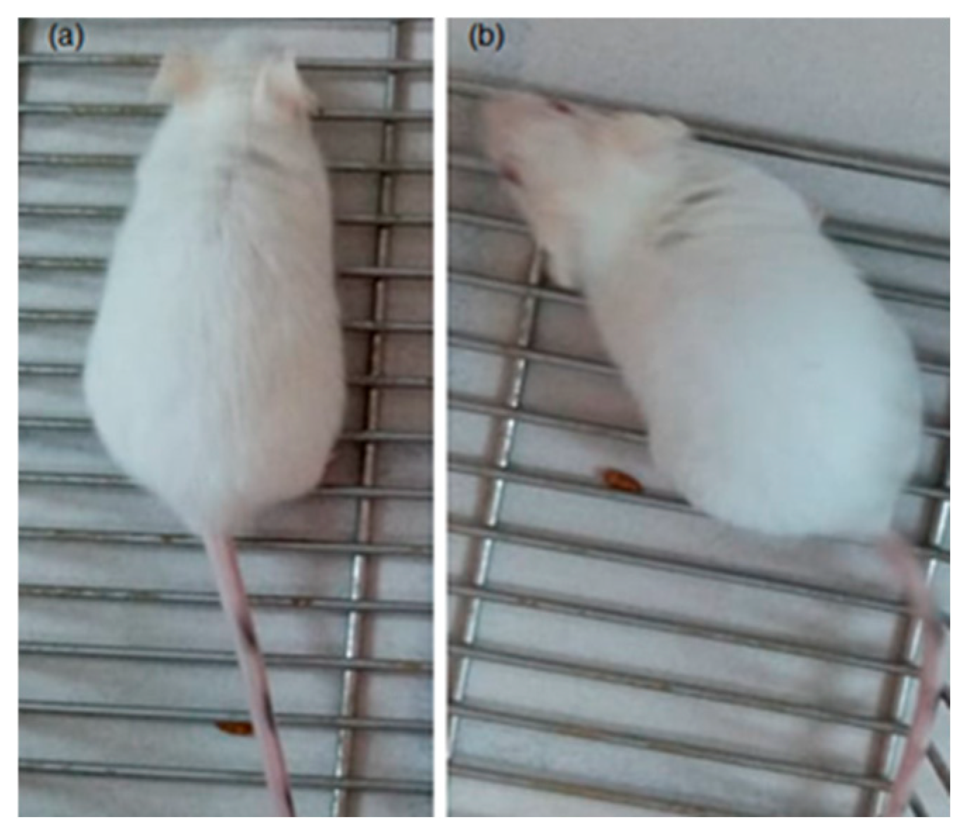Pharmaceutics 17 00415 g010
