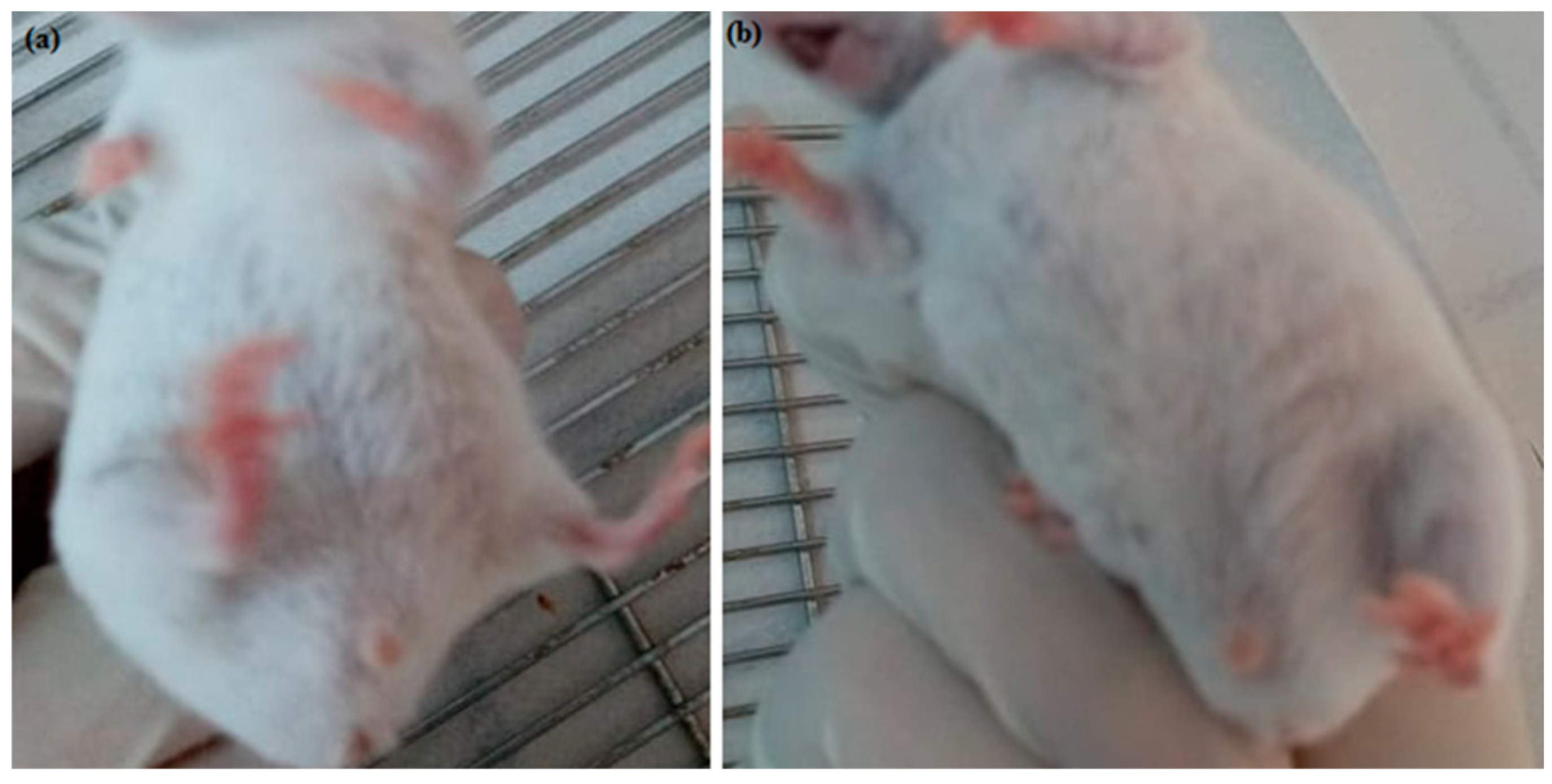 Pharmaceutics 17 00415 g011