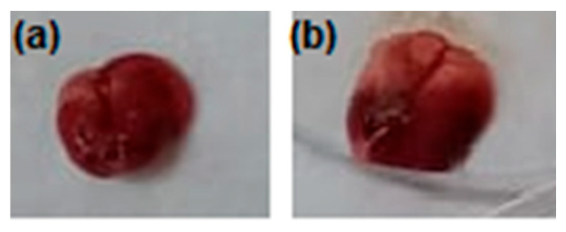 Pharmaceutics 17 00415 g012