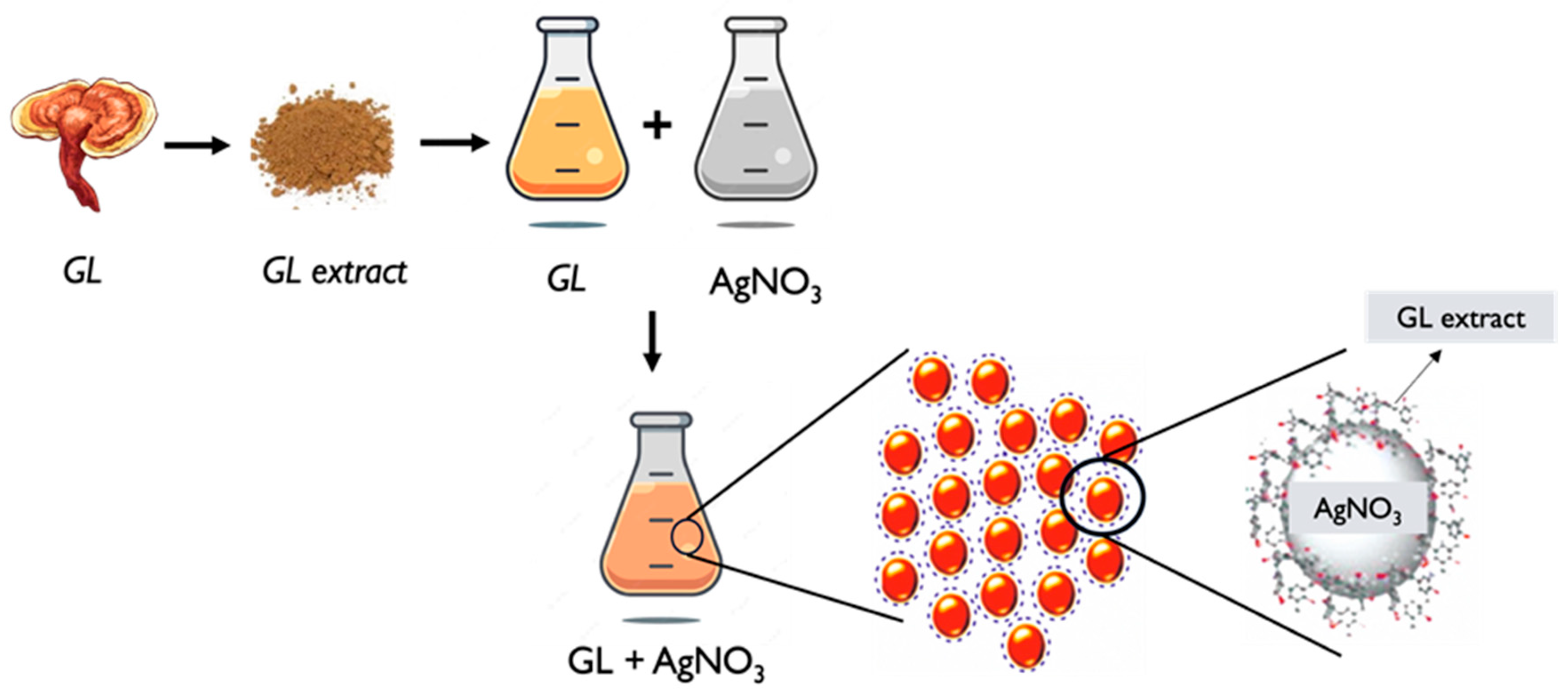 Pharmaceutics 17 00422 g004