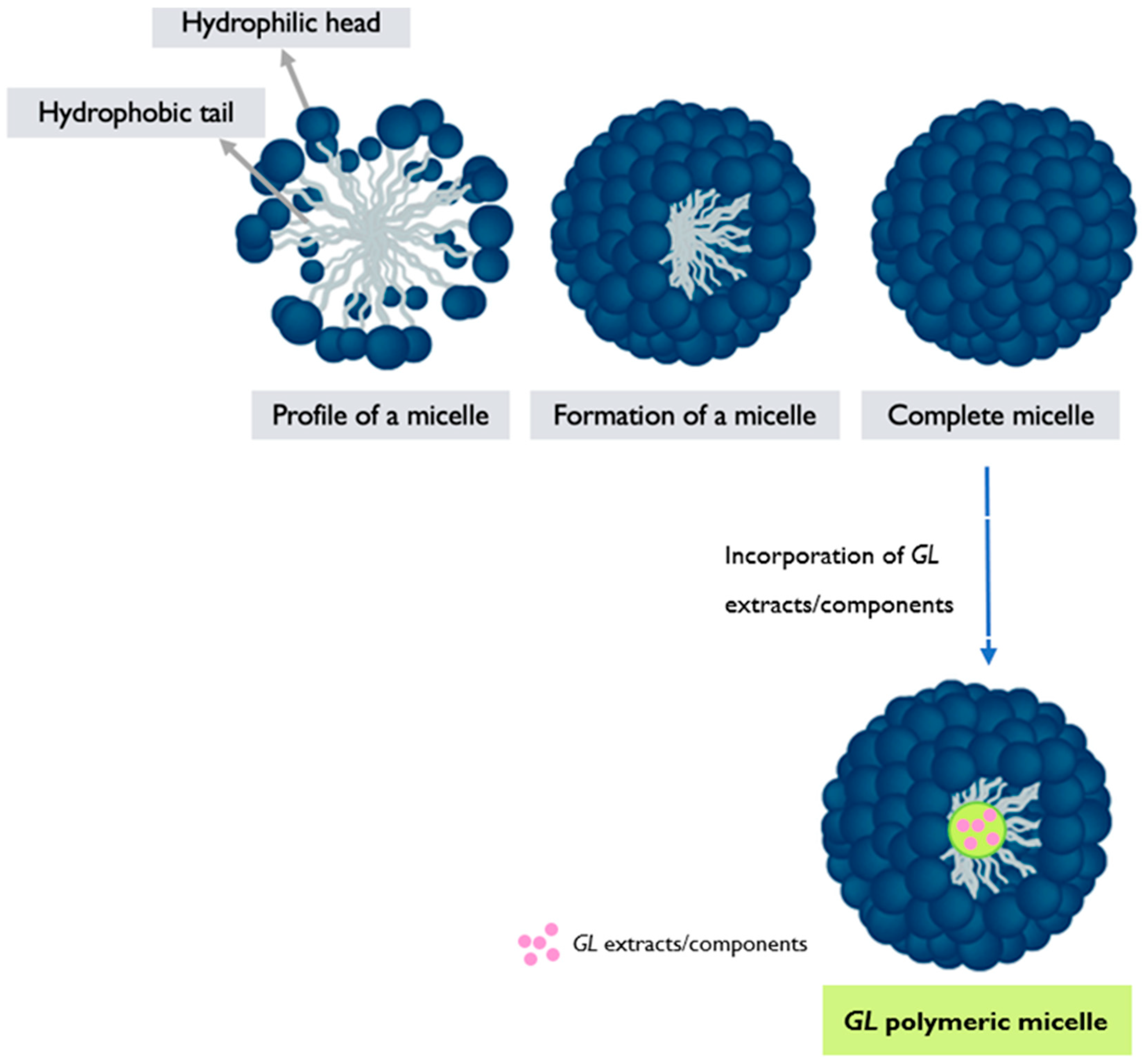 Pharmaceutics 17 00422 g005