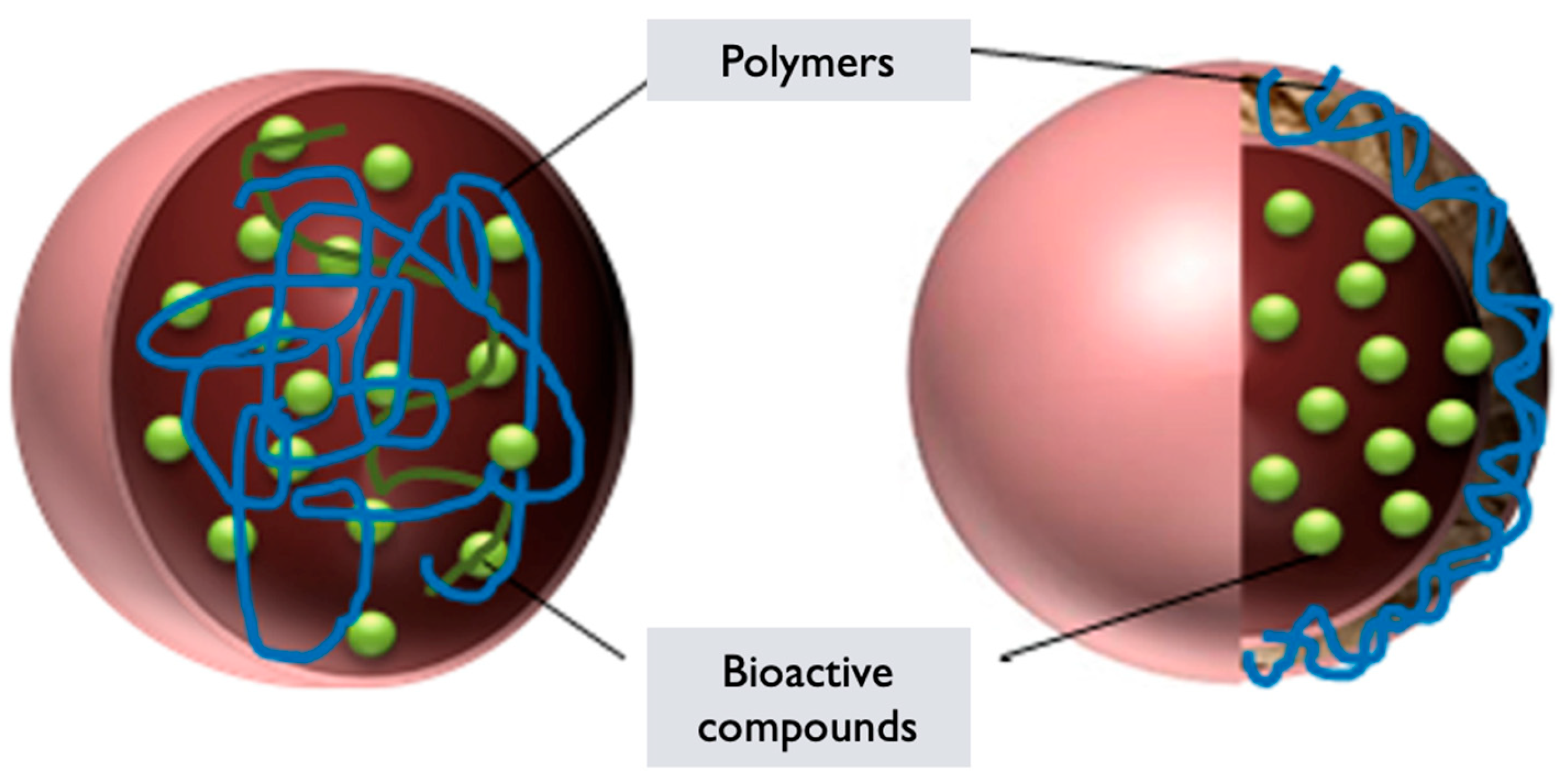 Pharmaceutics 17 00422 g007