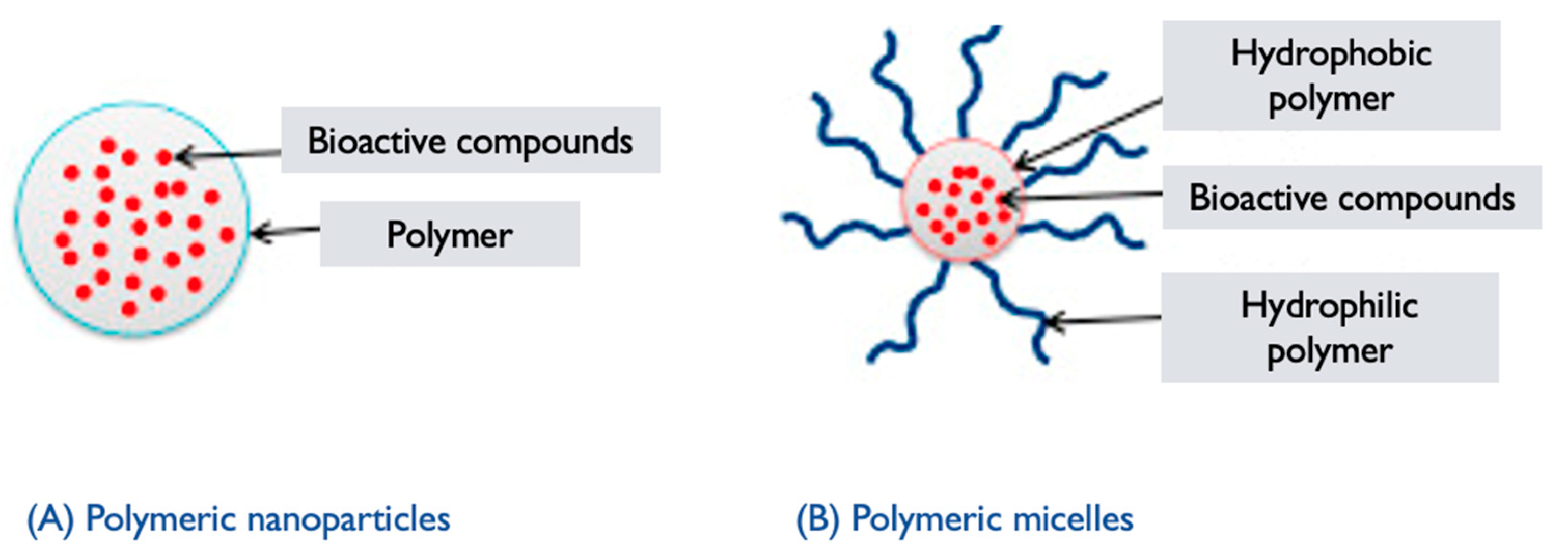 Pharmaceutics 17 00422 g008