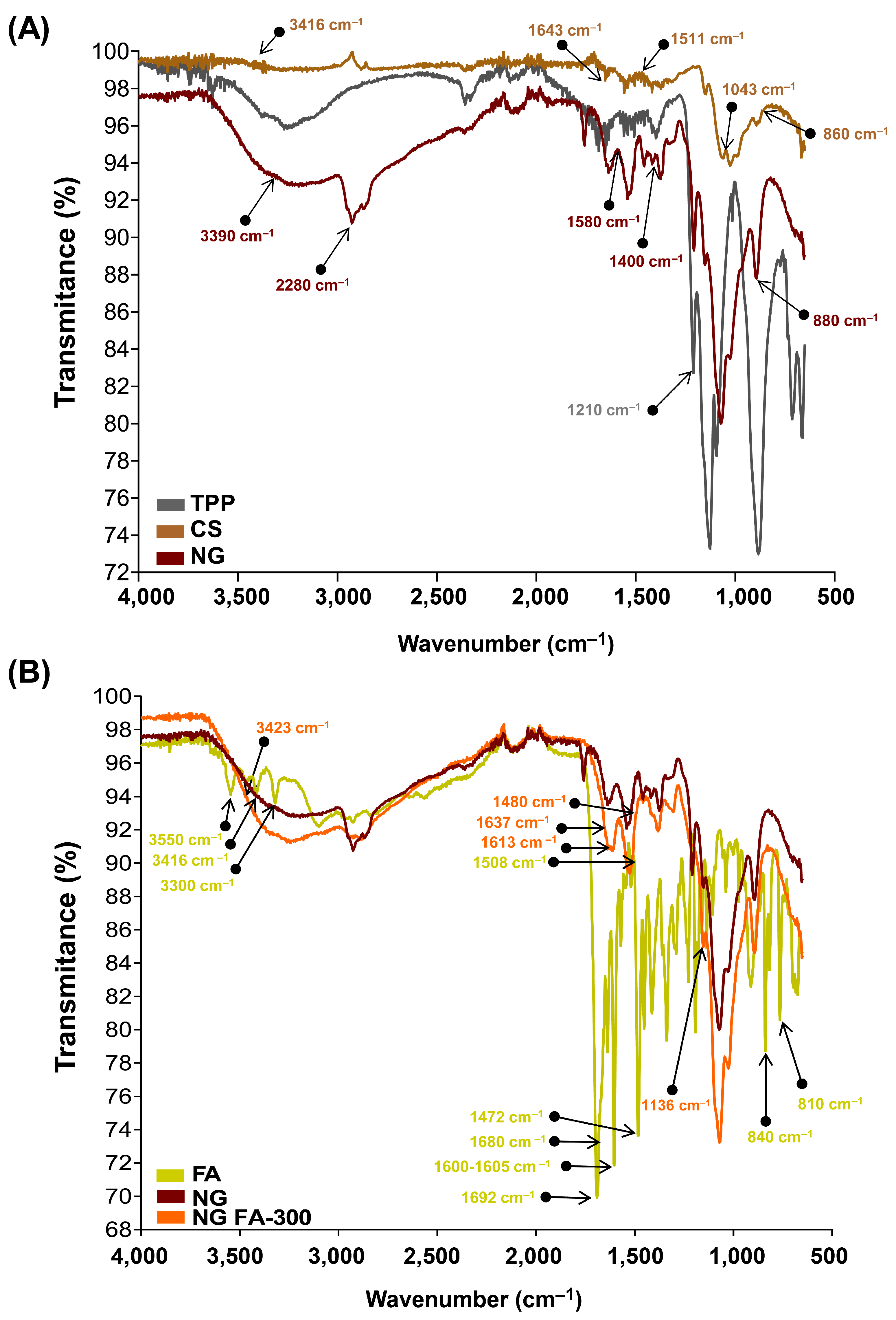 Pharmaceutics 17 00424 g002