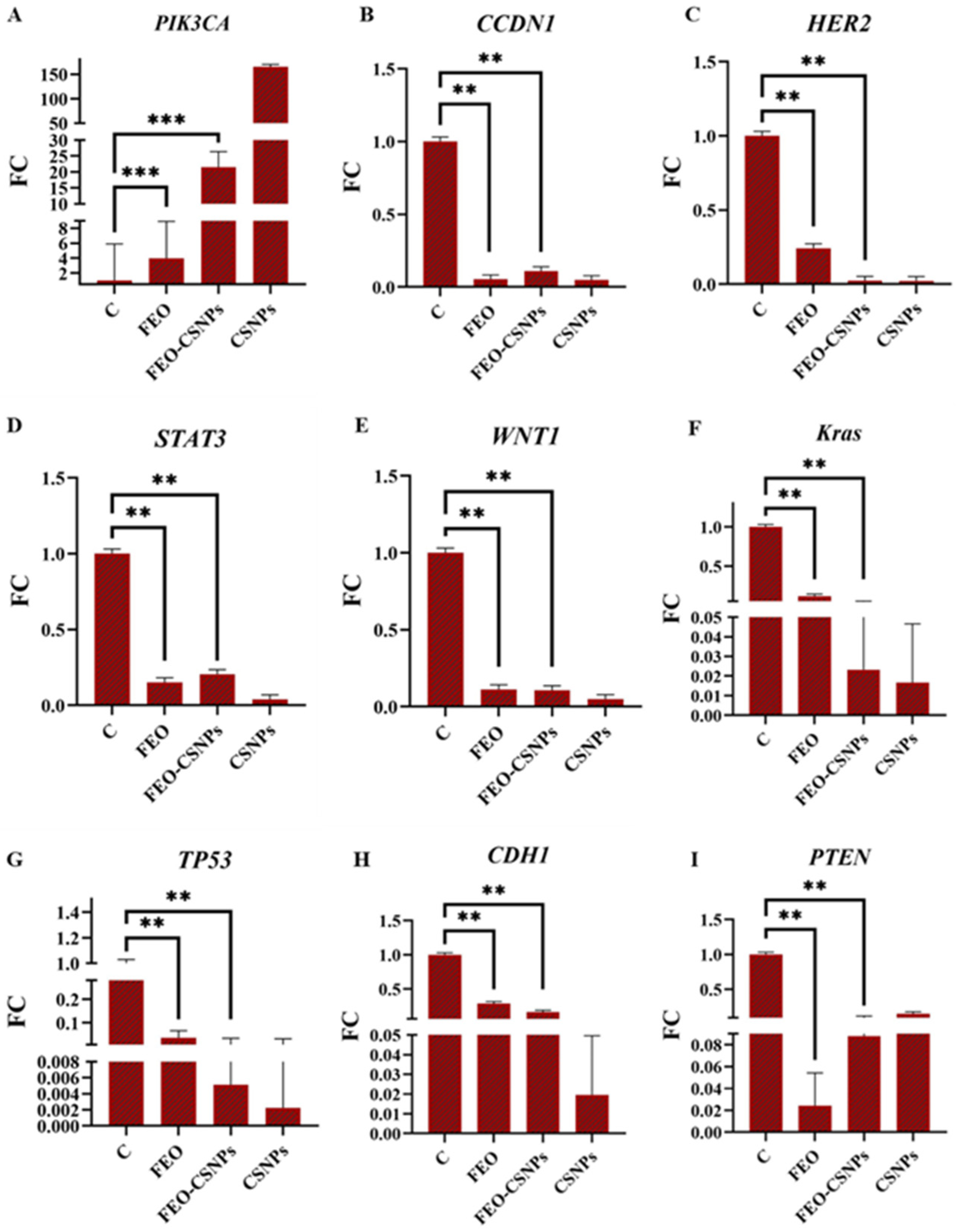 Pharmaceutics 17 00426 g016