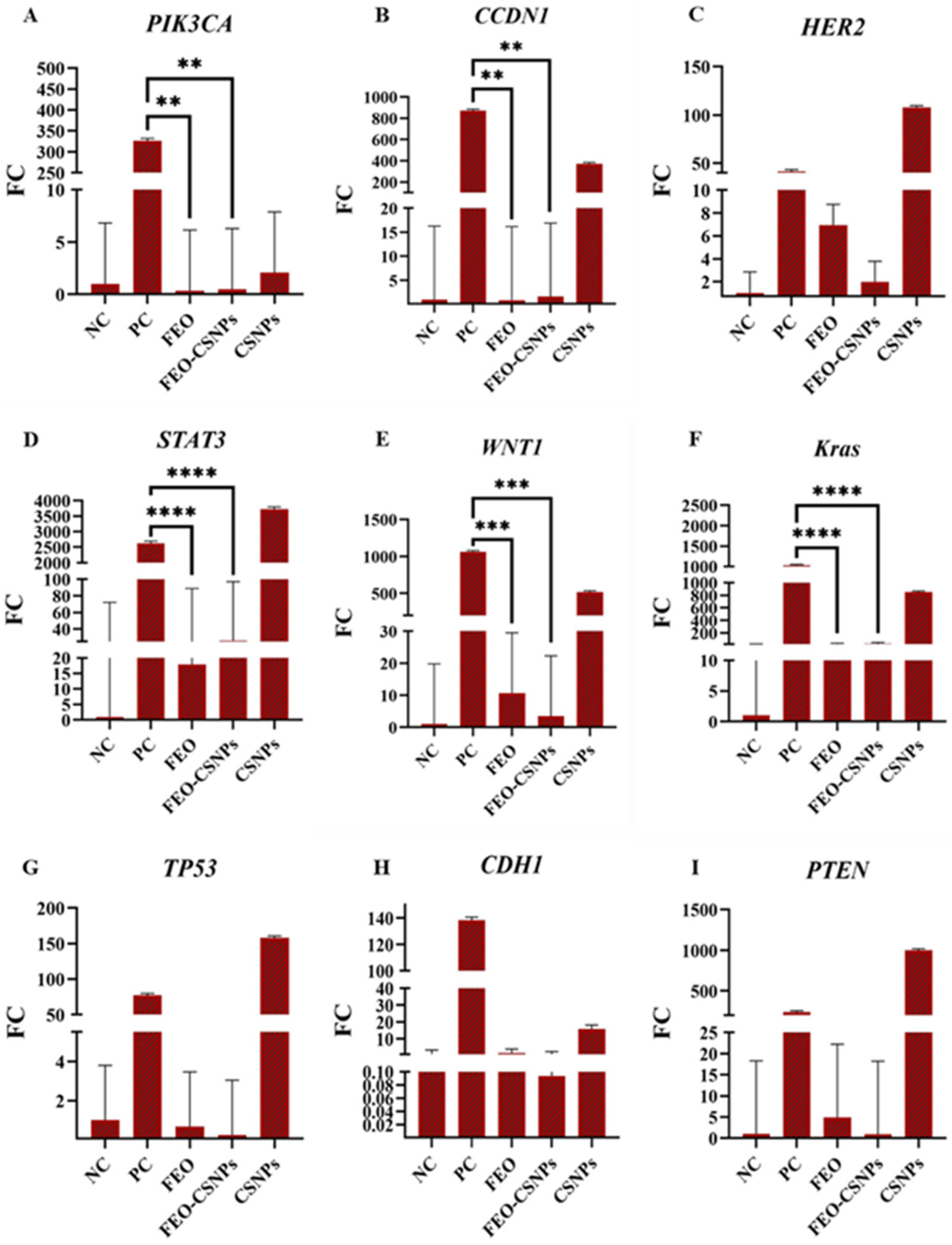 Pharmaceutics 17 00426 g017