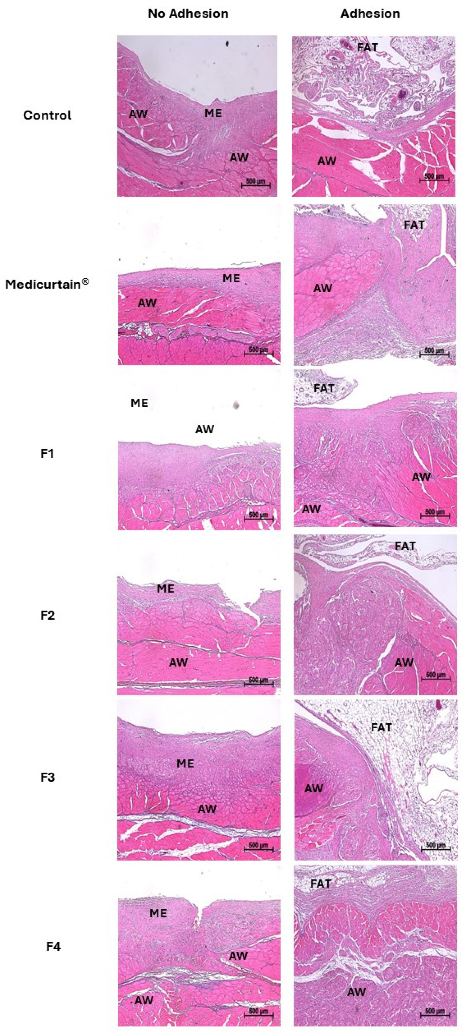 Pharmaceutics 17 00427 g008