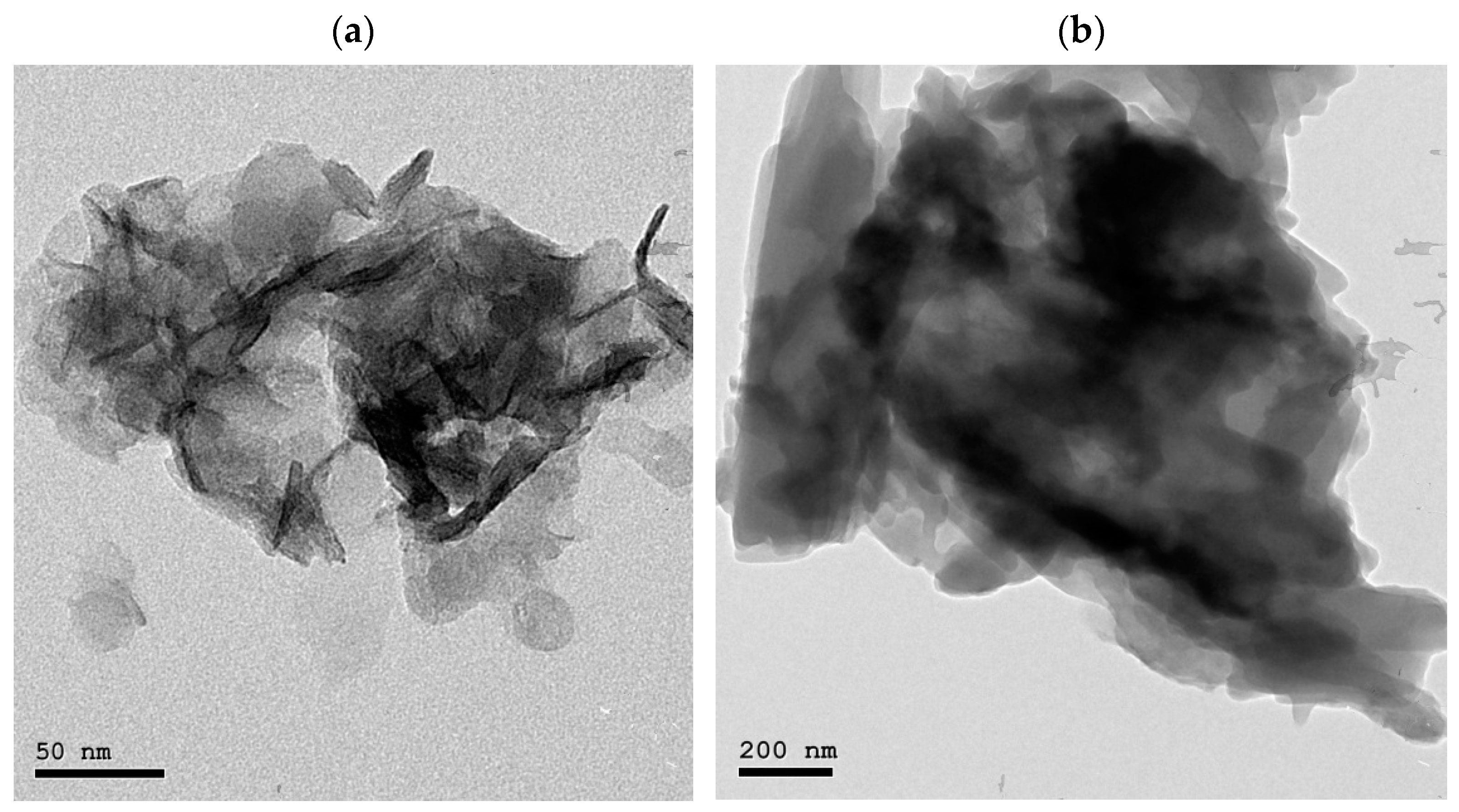 Pharmaceutics 17 00429 g002