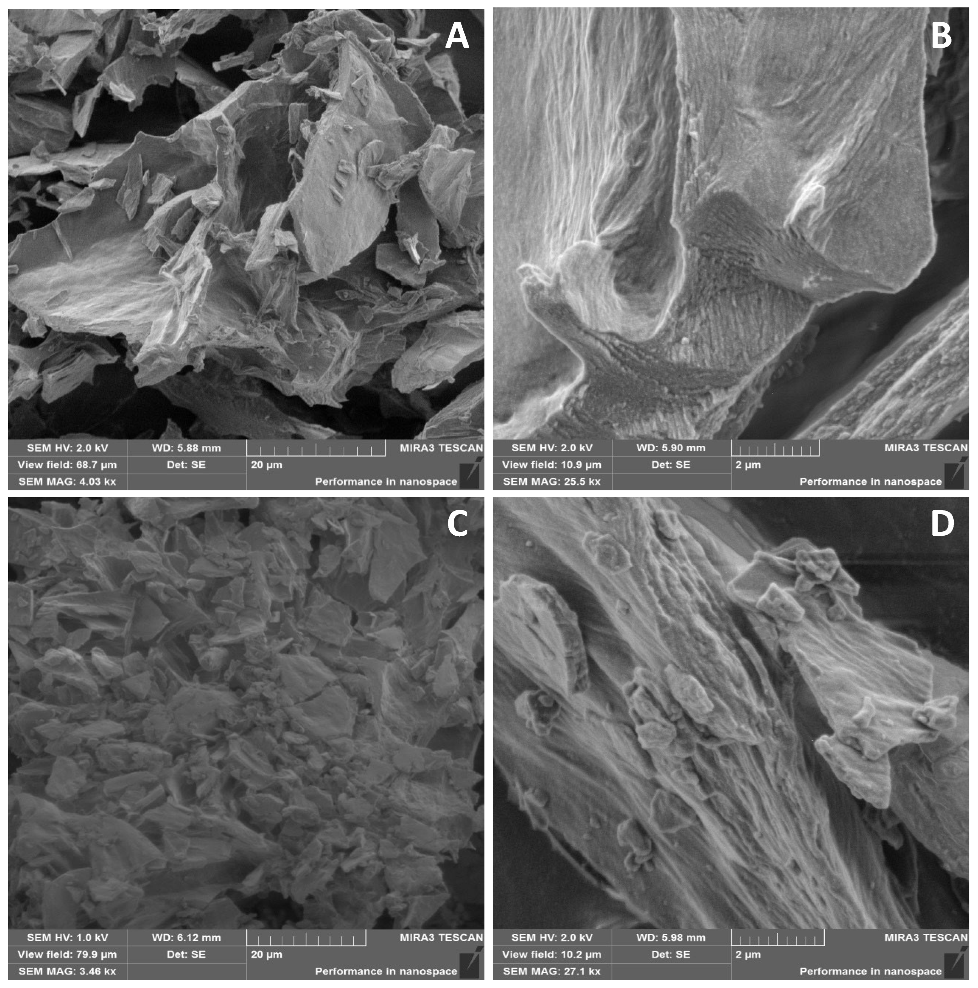 Pharmaceutics 17 00430 g006