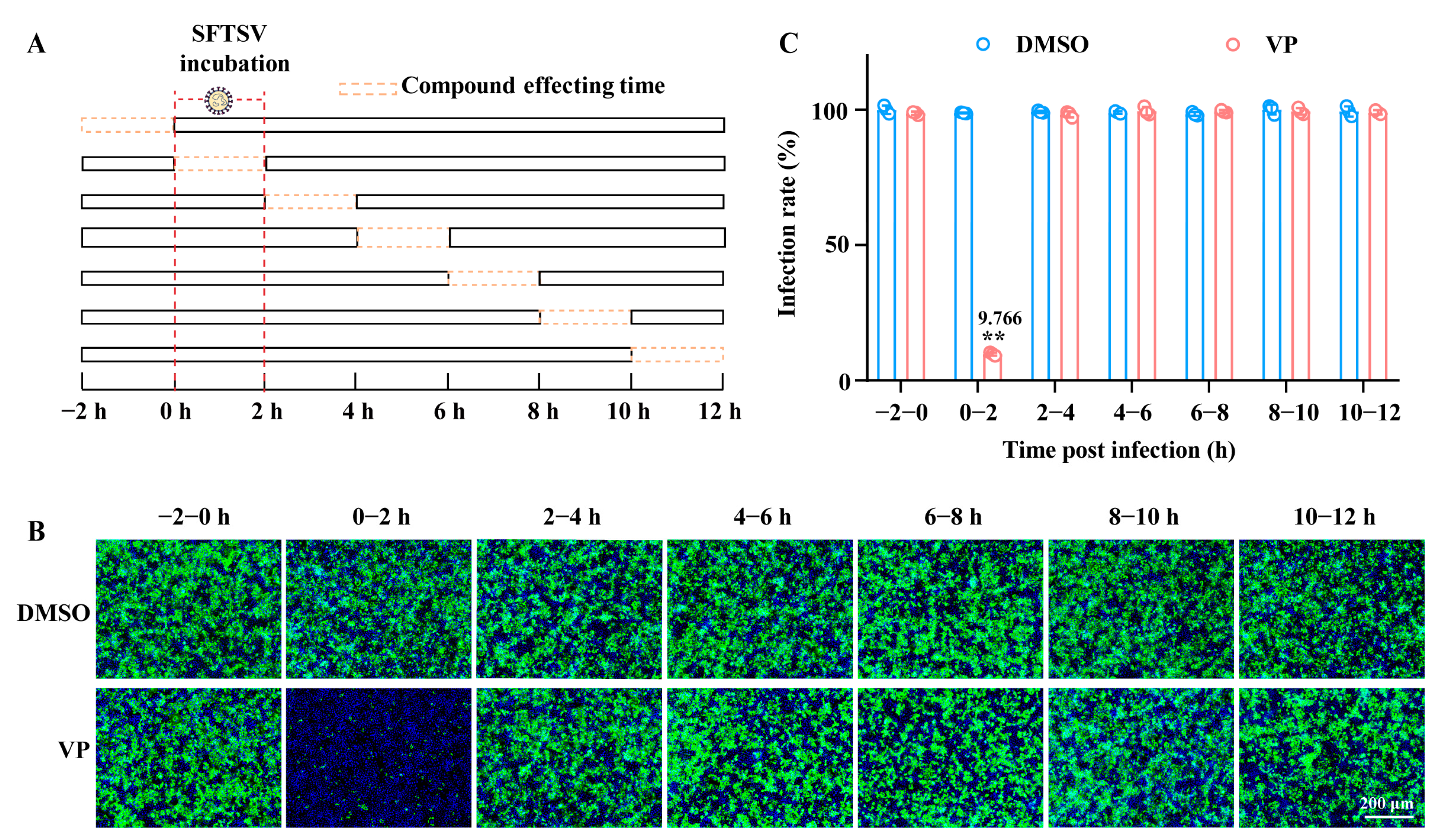 Pharmaceutics 17 00434 g002