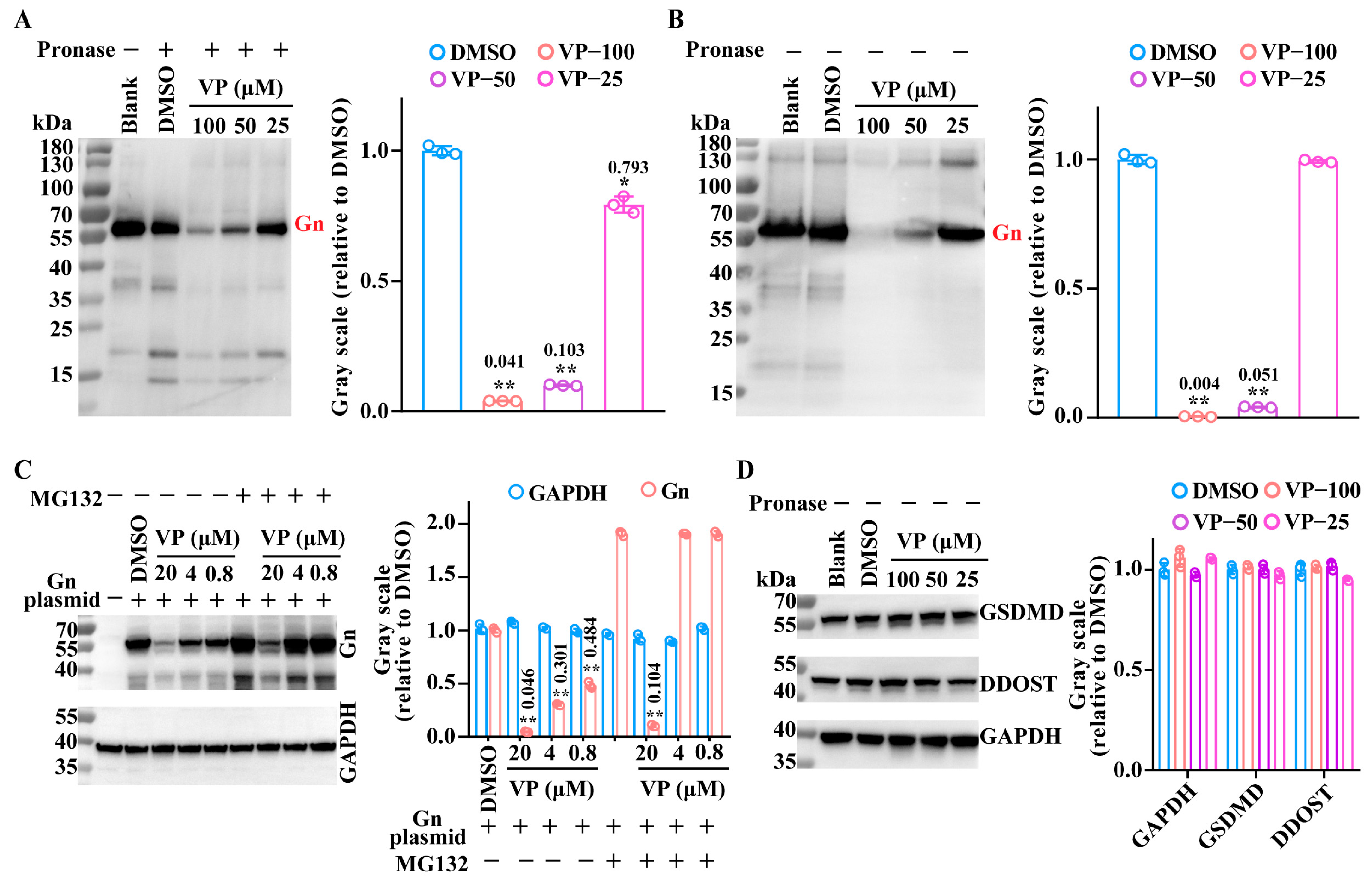 Pharmaceutics 17 00434 g006