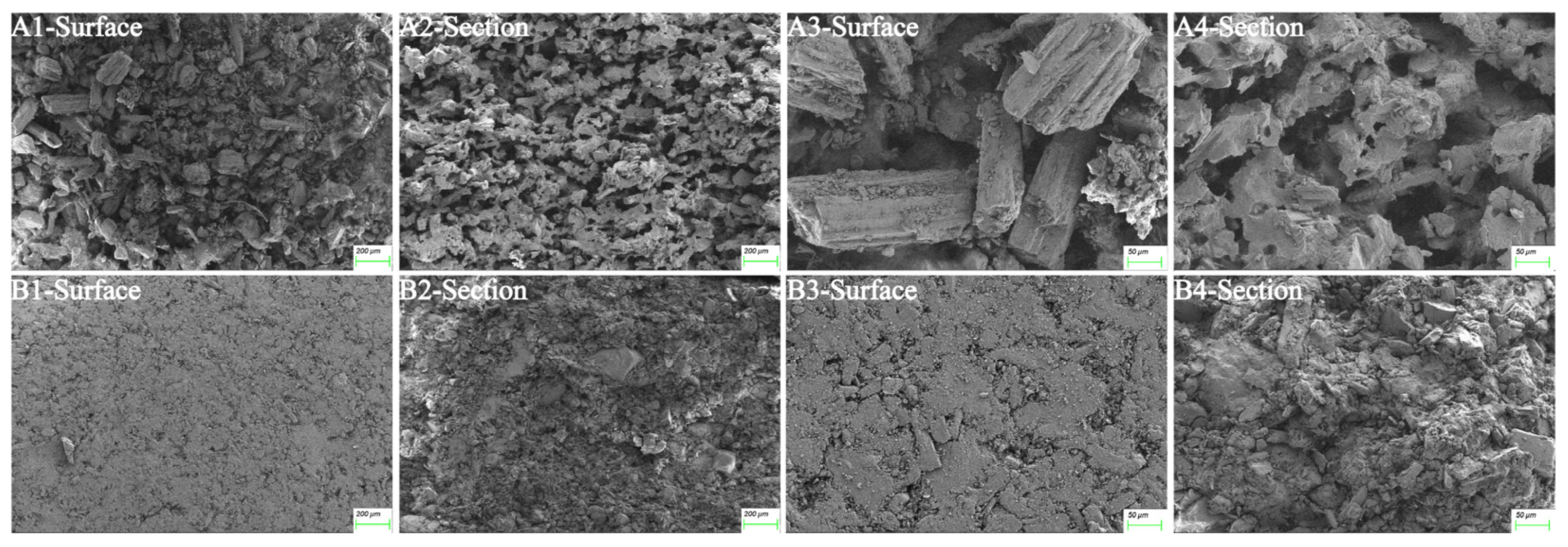 Pharmaceutics 17 00435 g008