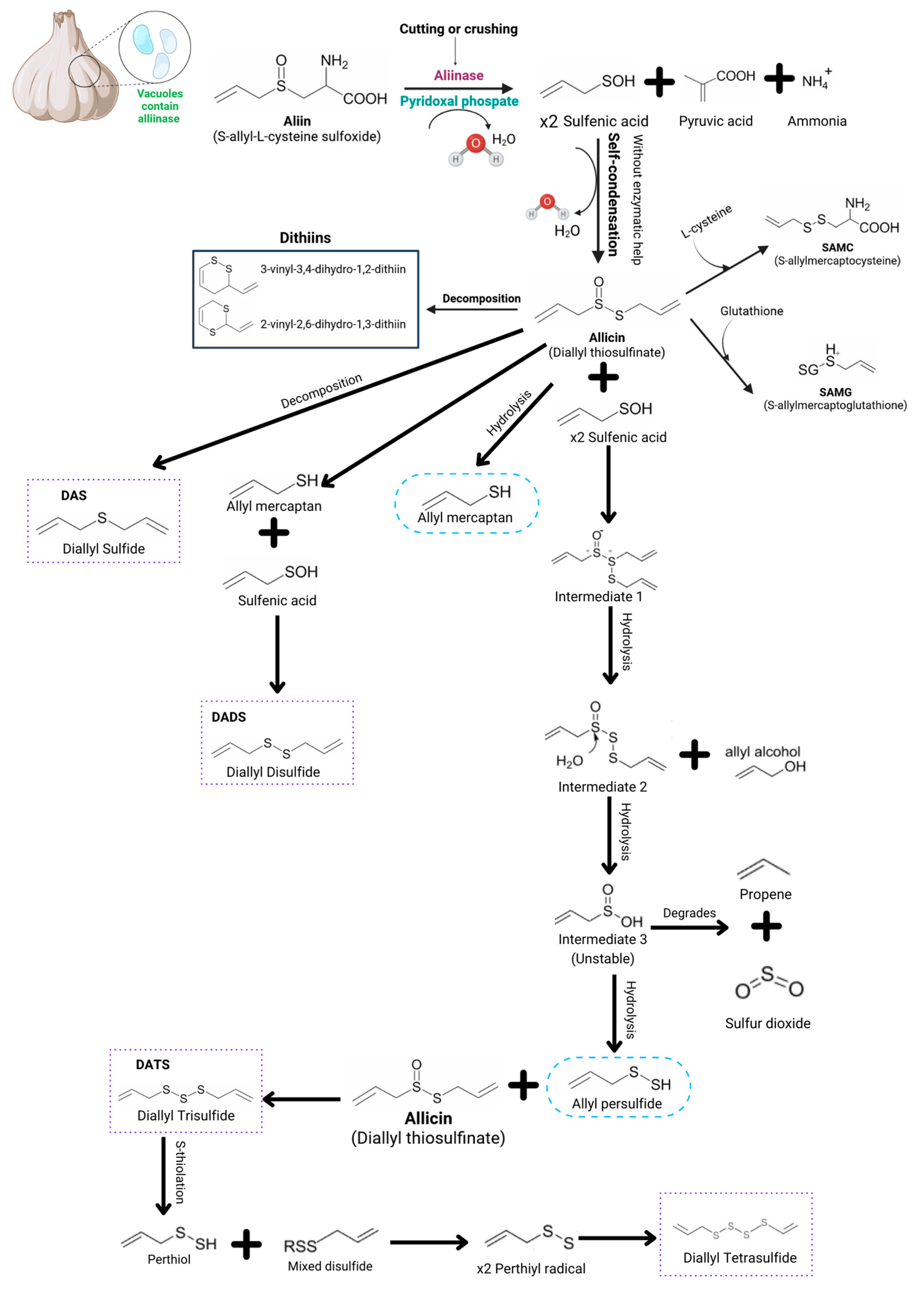 Pharmaceutics 17 00437 g001