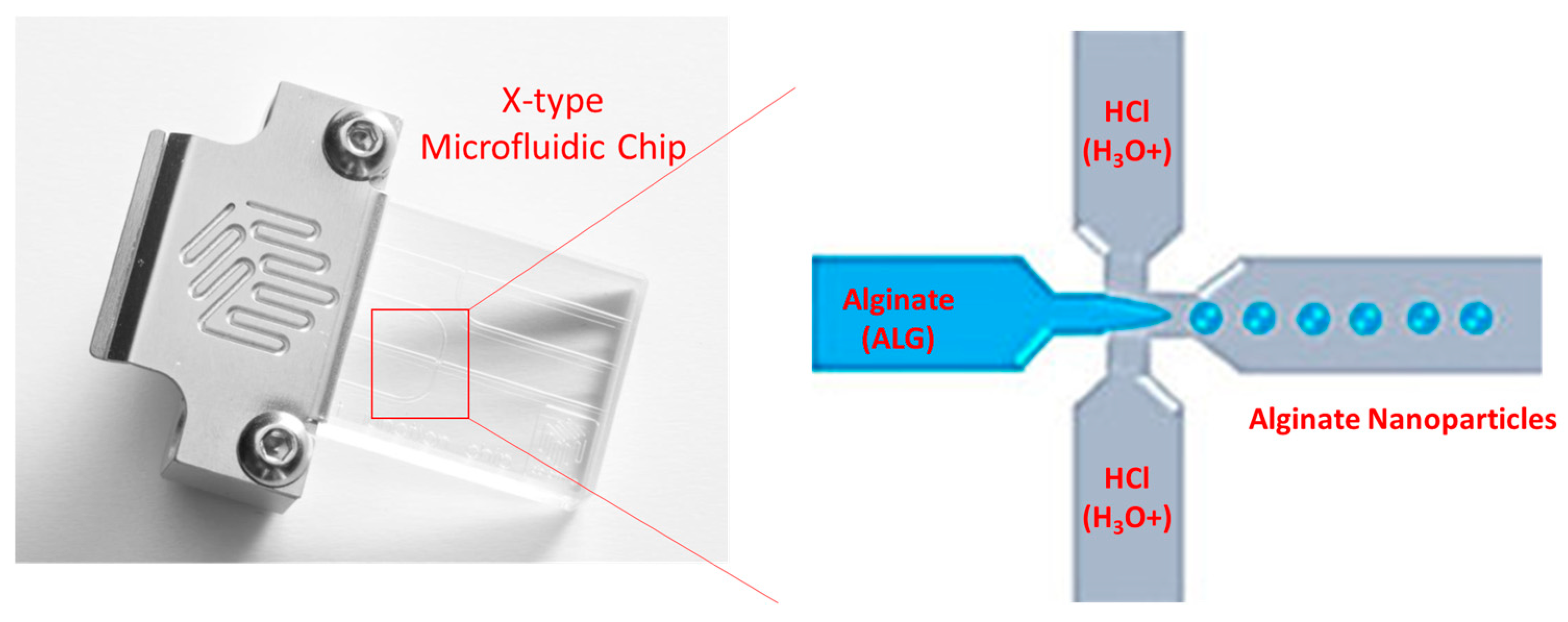 Pharmaceutics 17 00438 g001