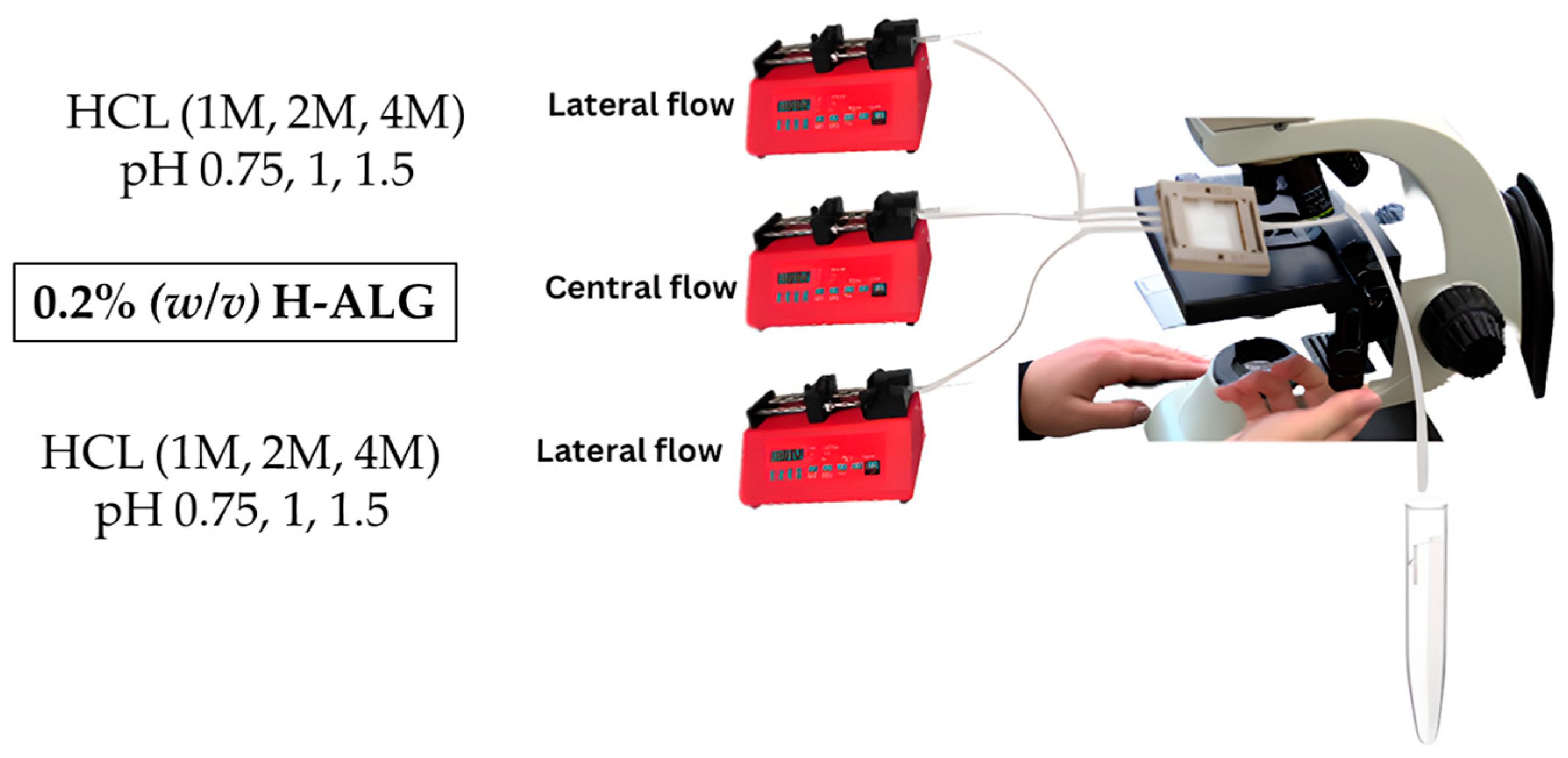 Pharmaceutics 17 00438 g003