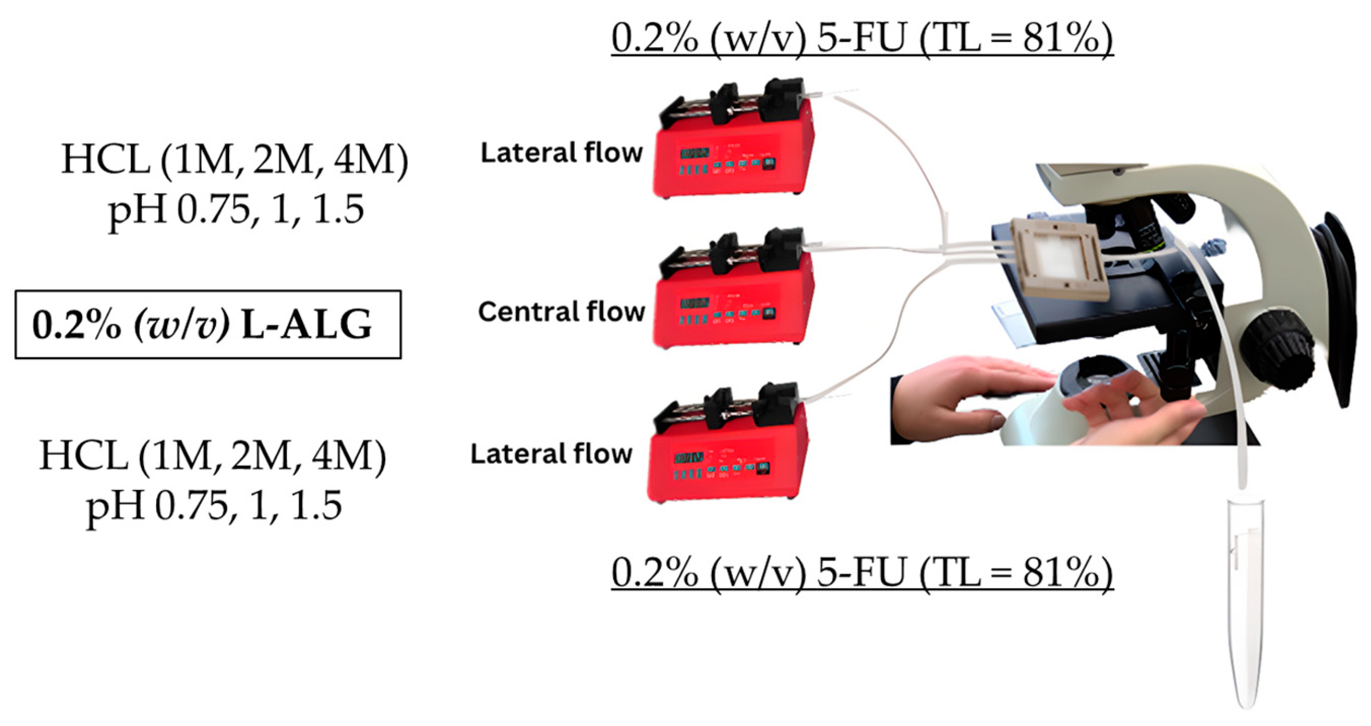 Pharmaceutics 17 00438 g006