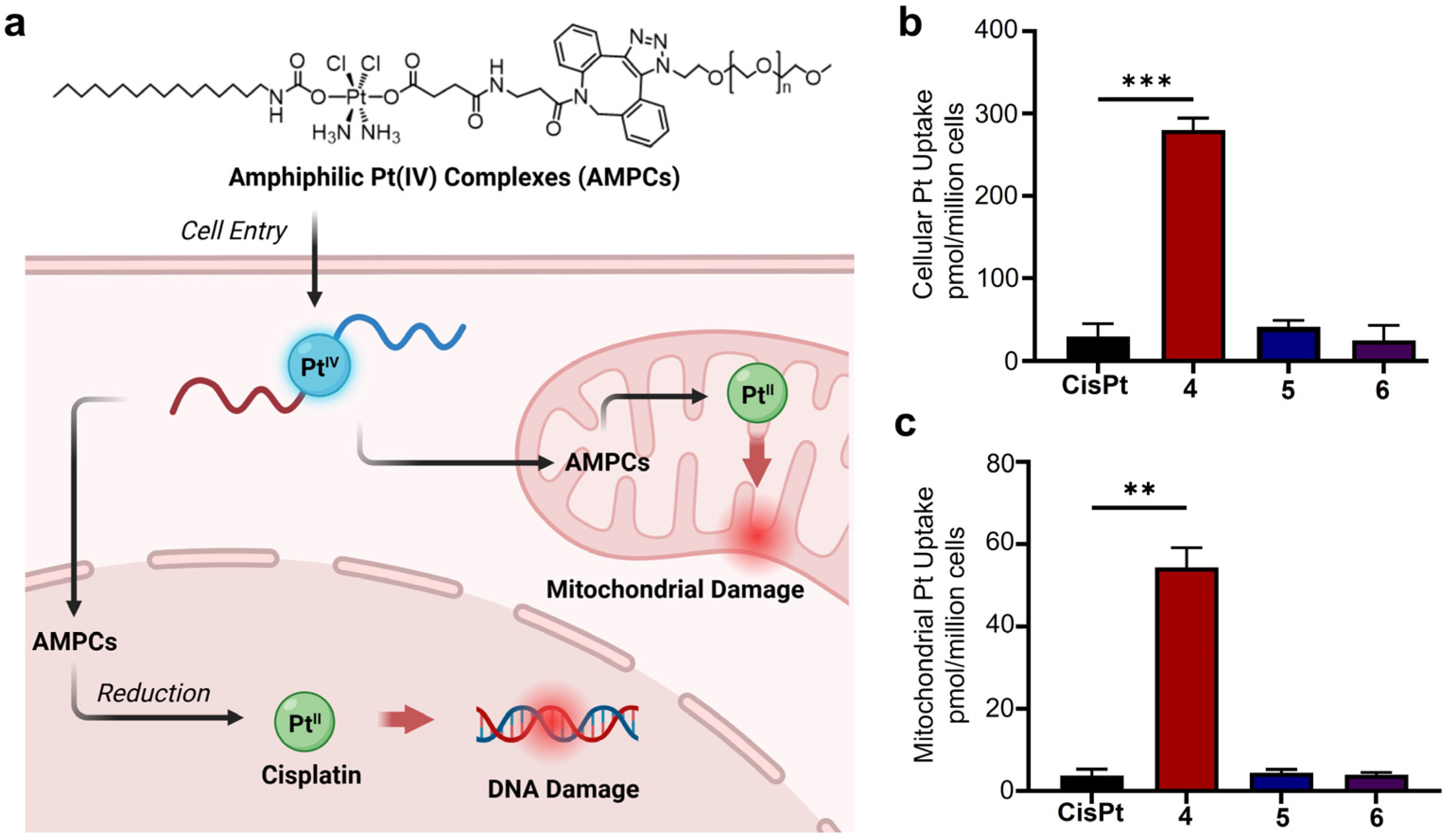 Pharmaceutics 17 00440 g004