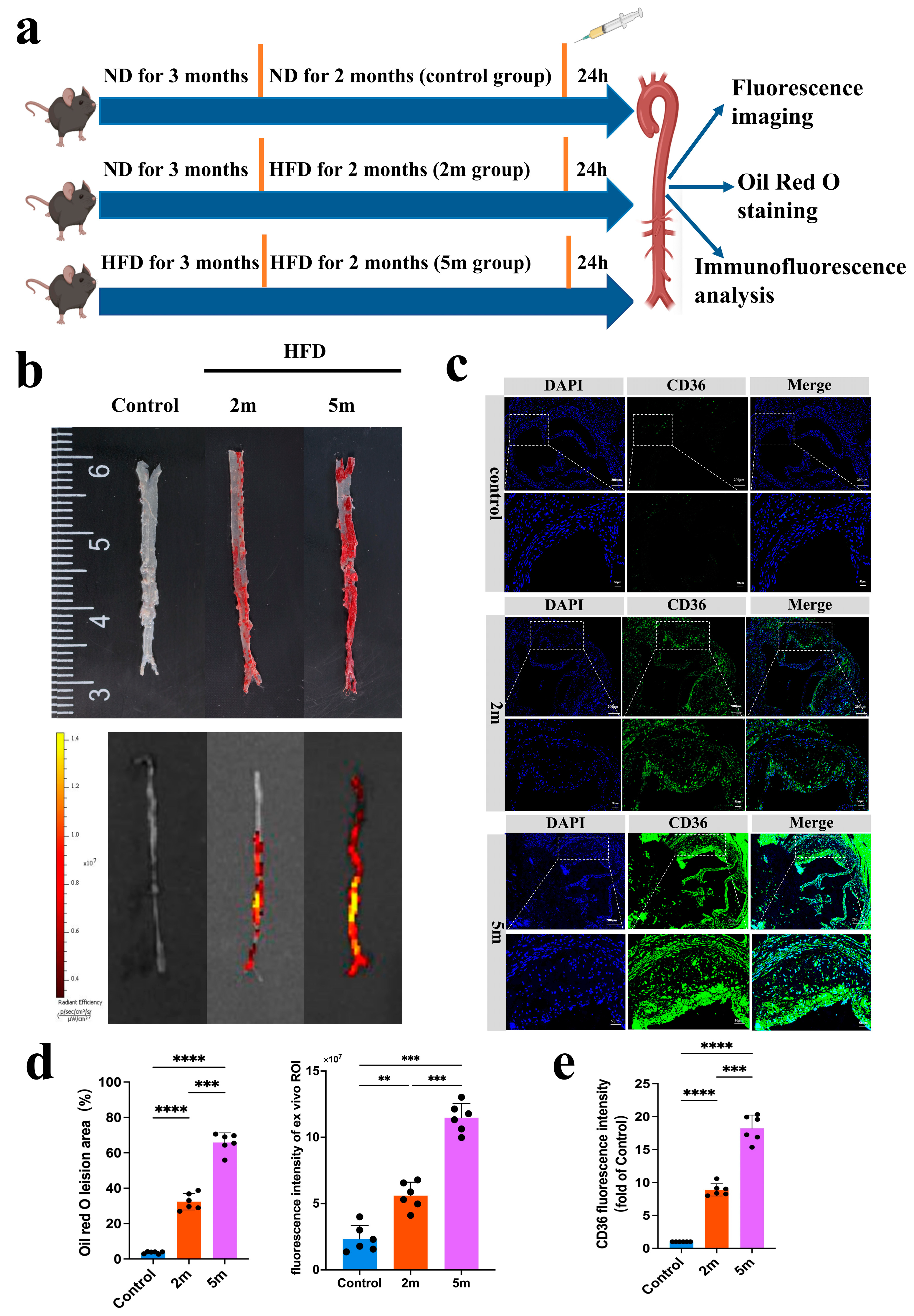 Pharmaceutics 17 00444 g005