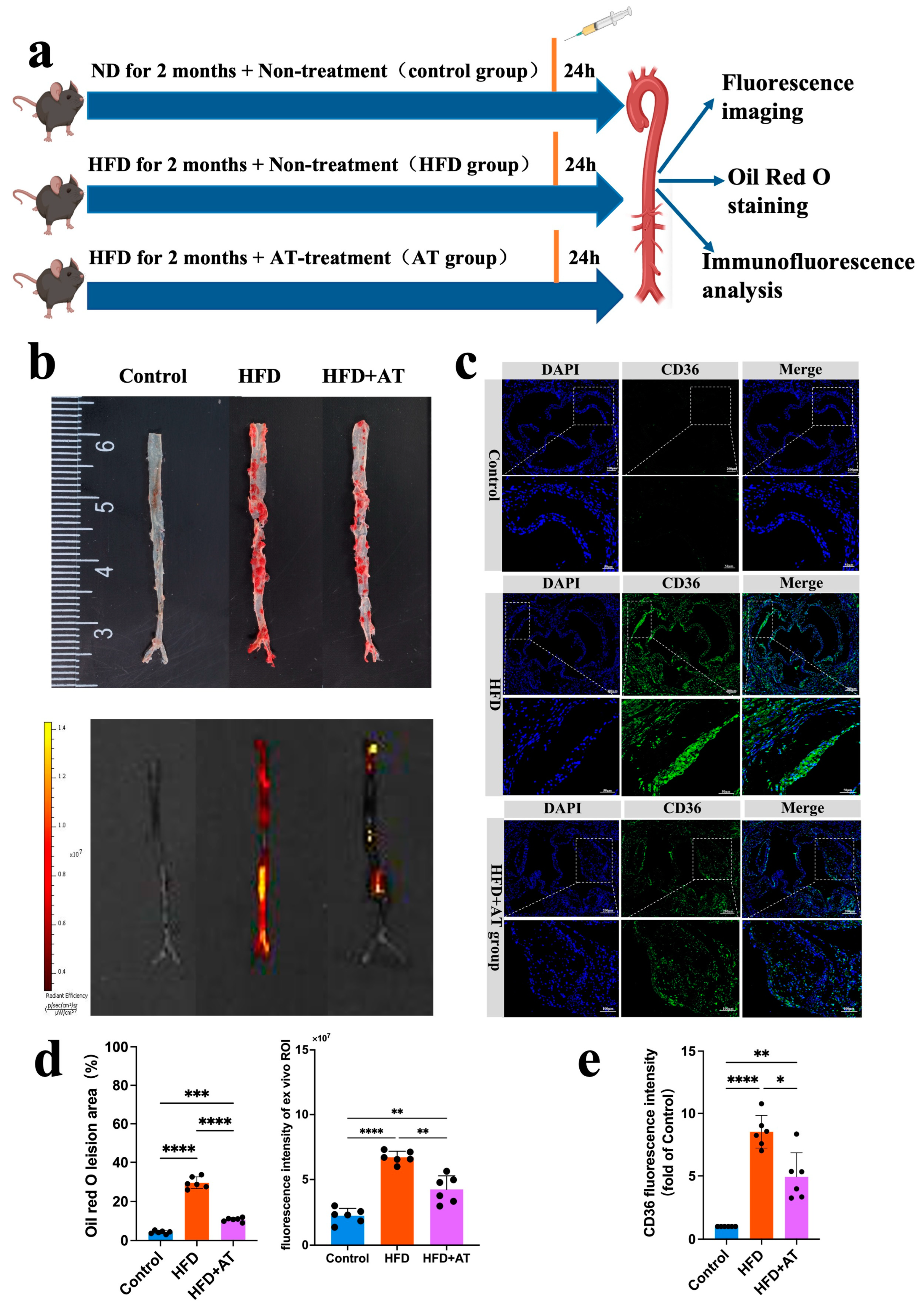 Pharmaceutics 17 00444 g006