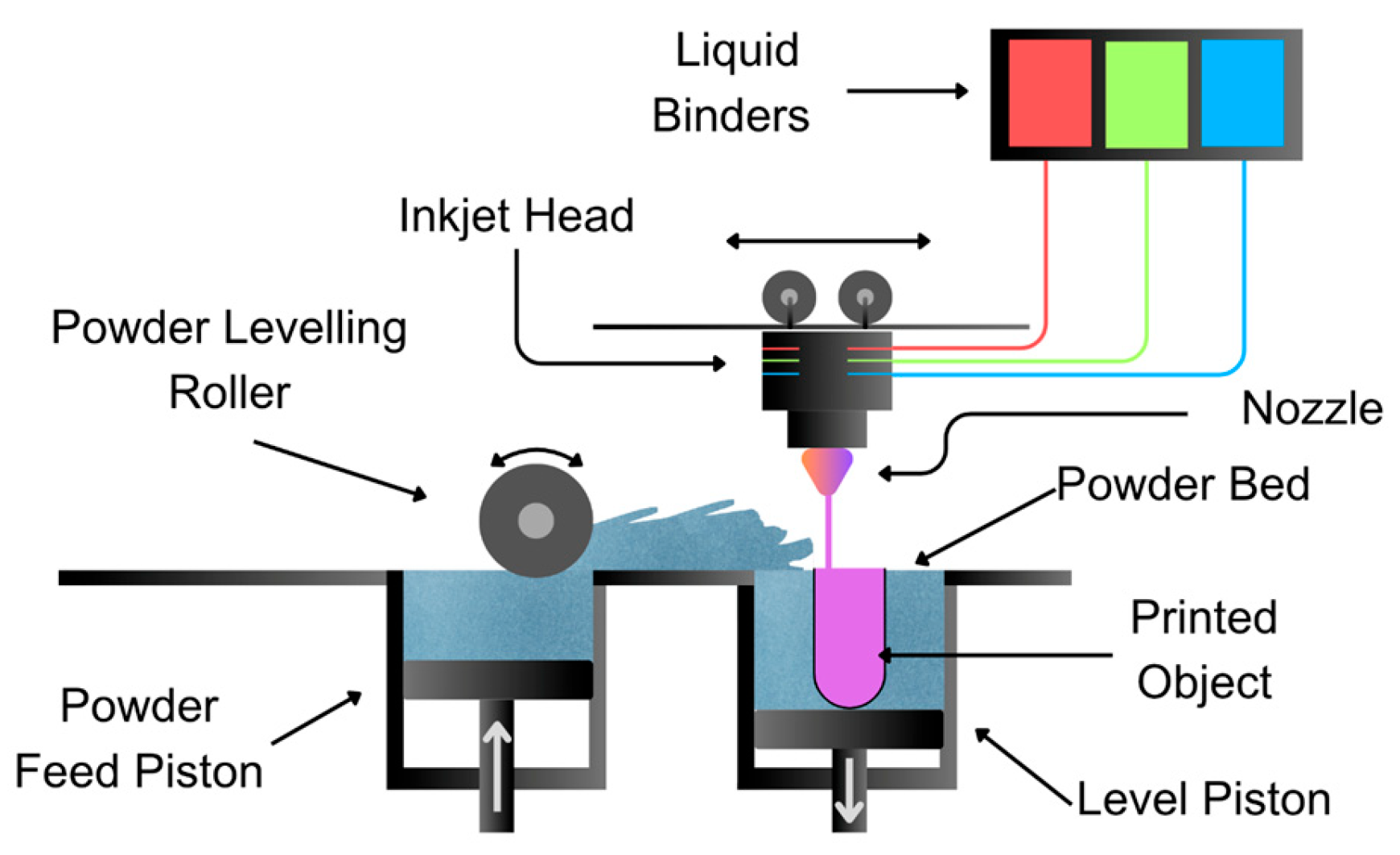 Pharmaceutics 17 00445 g010