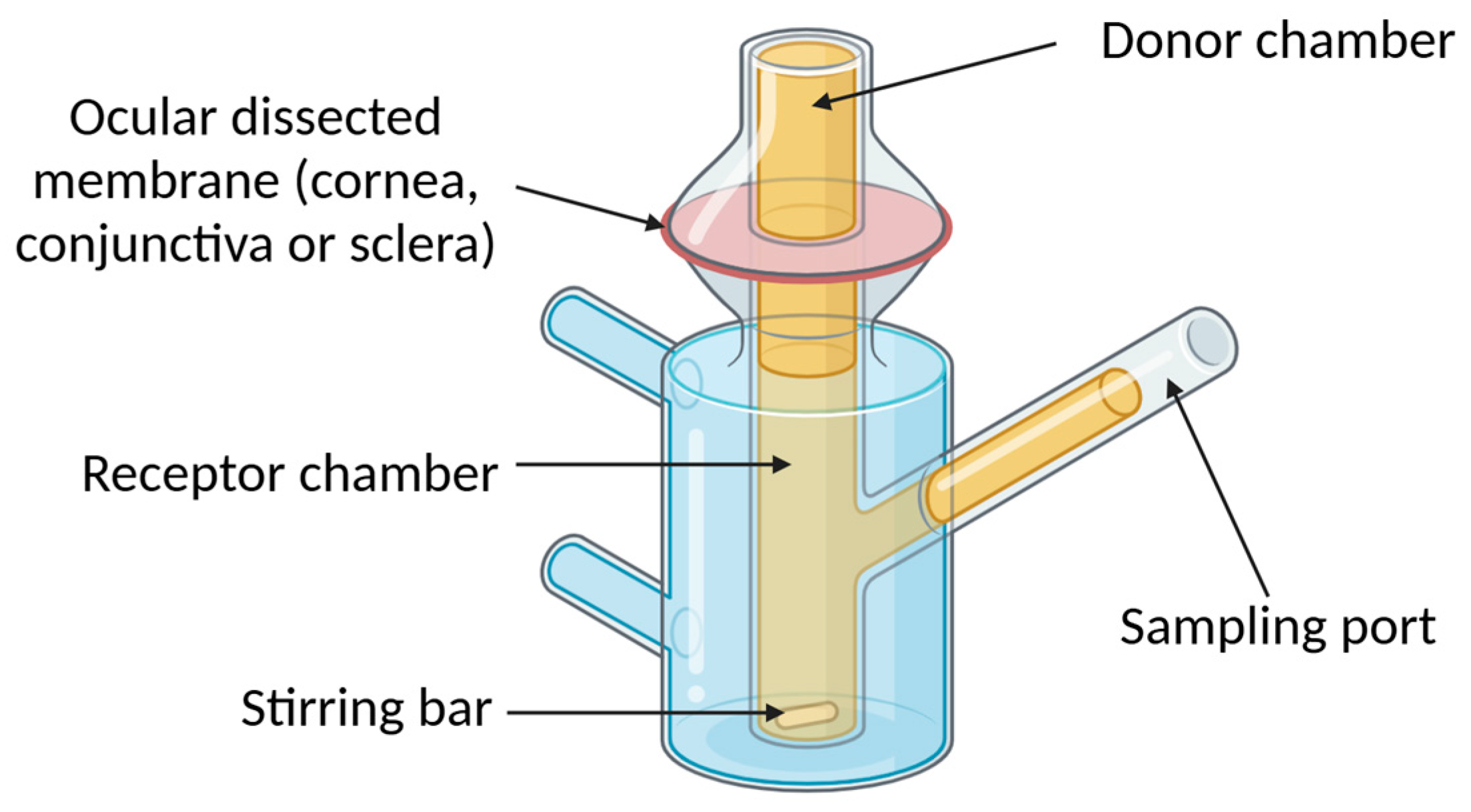 Pharmaceutics 17 00447 g004 Pharmaceutics 17 00447 g004