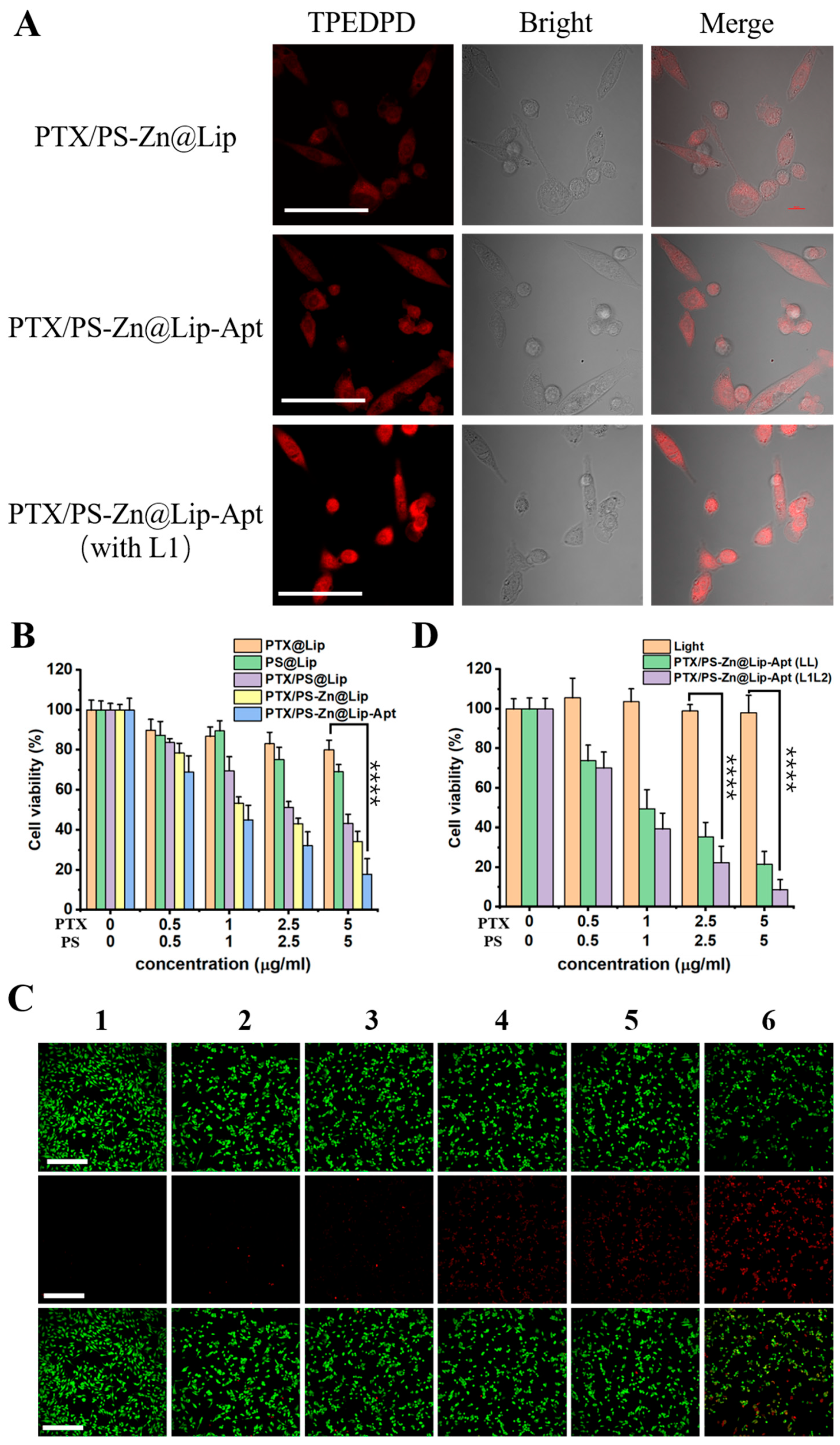 Pharmaceutics 17 00448 g004