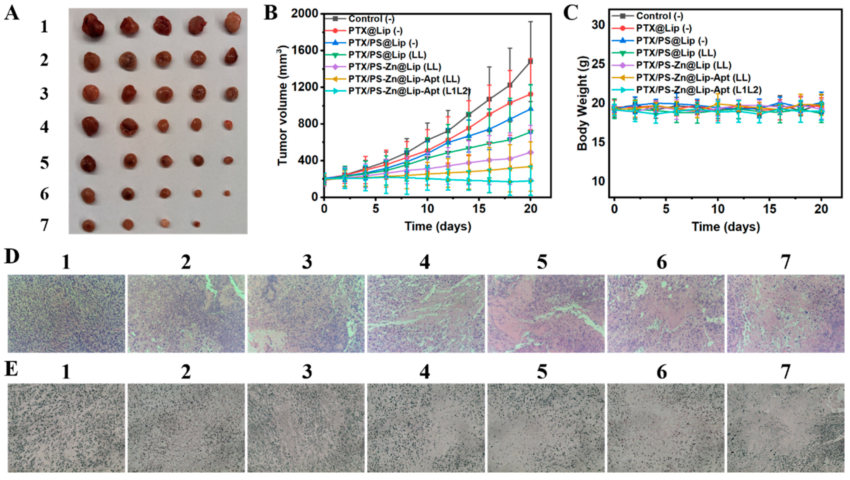 Pharmaceutics 17 00448 g006