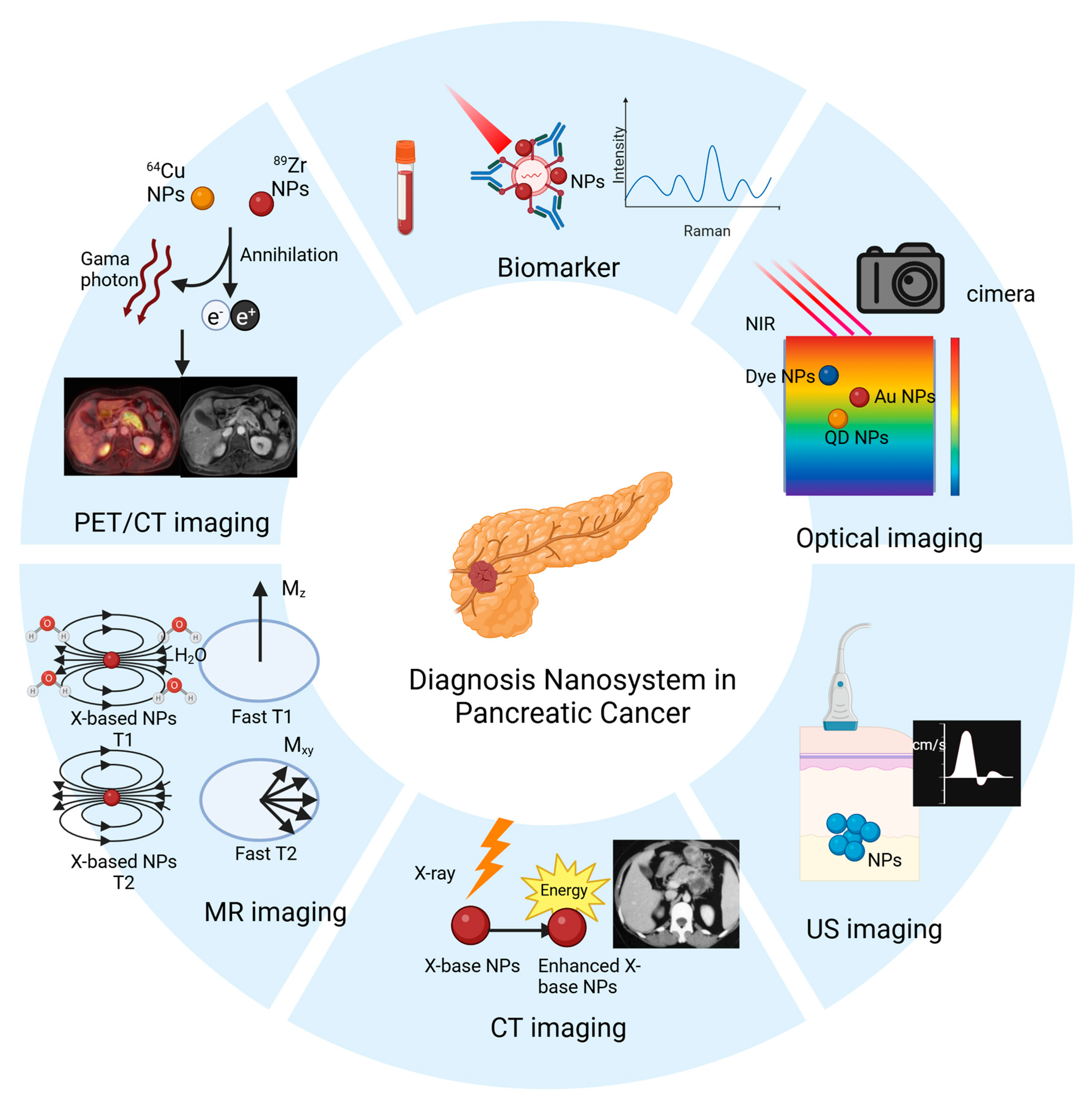 Pharmaceutics 17 00449 g001