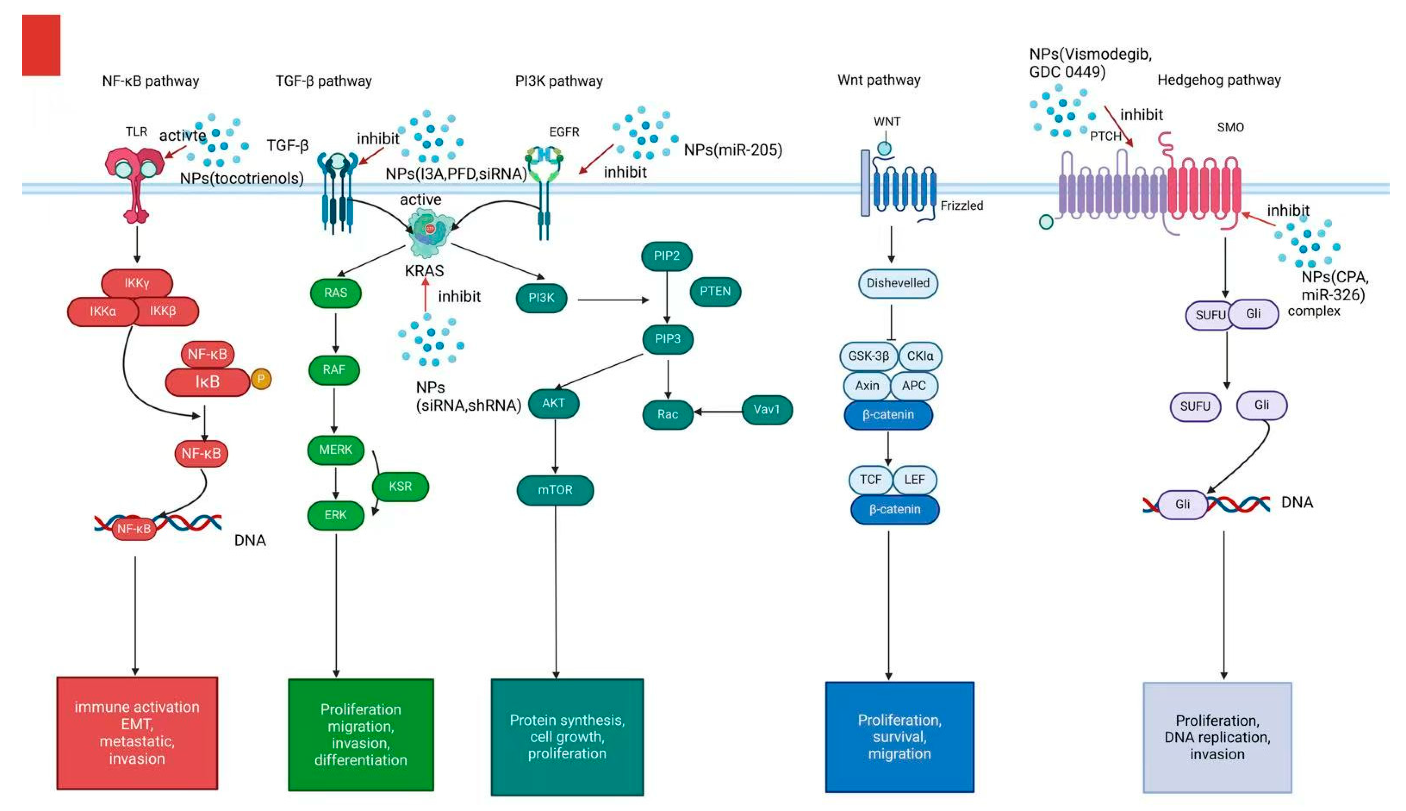 Pharmaceutics 17 00449 g003