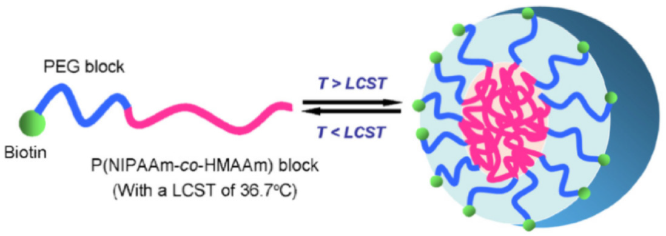 Pharmaceutics 17 00451 g001
