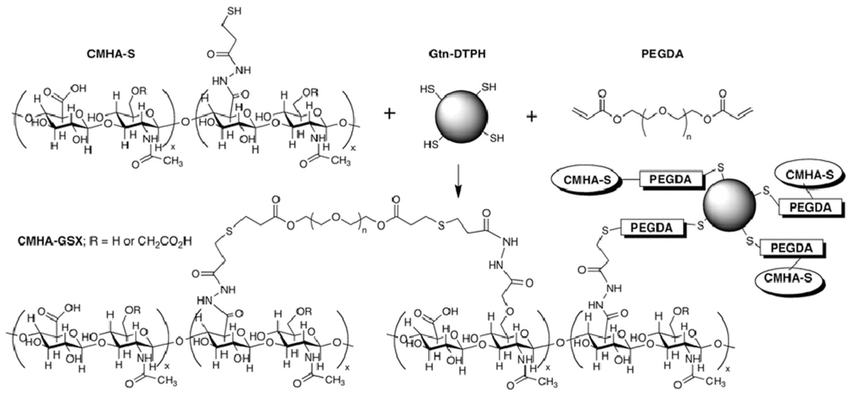 Pharmaceutics 17 00451 g007