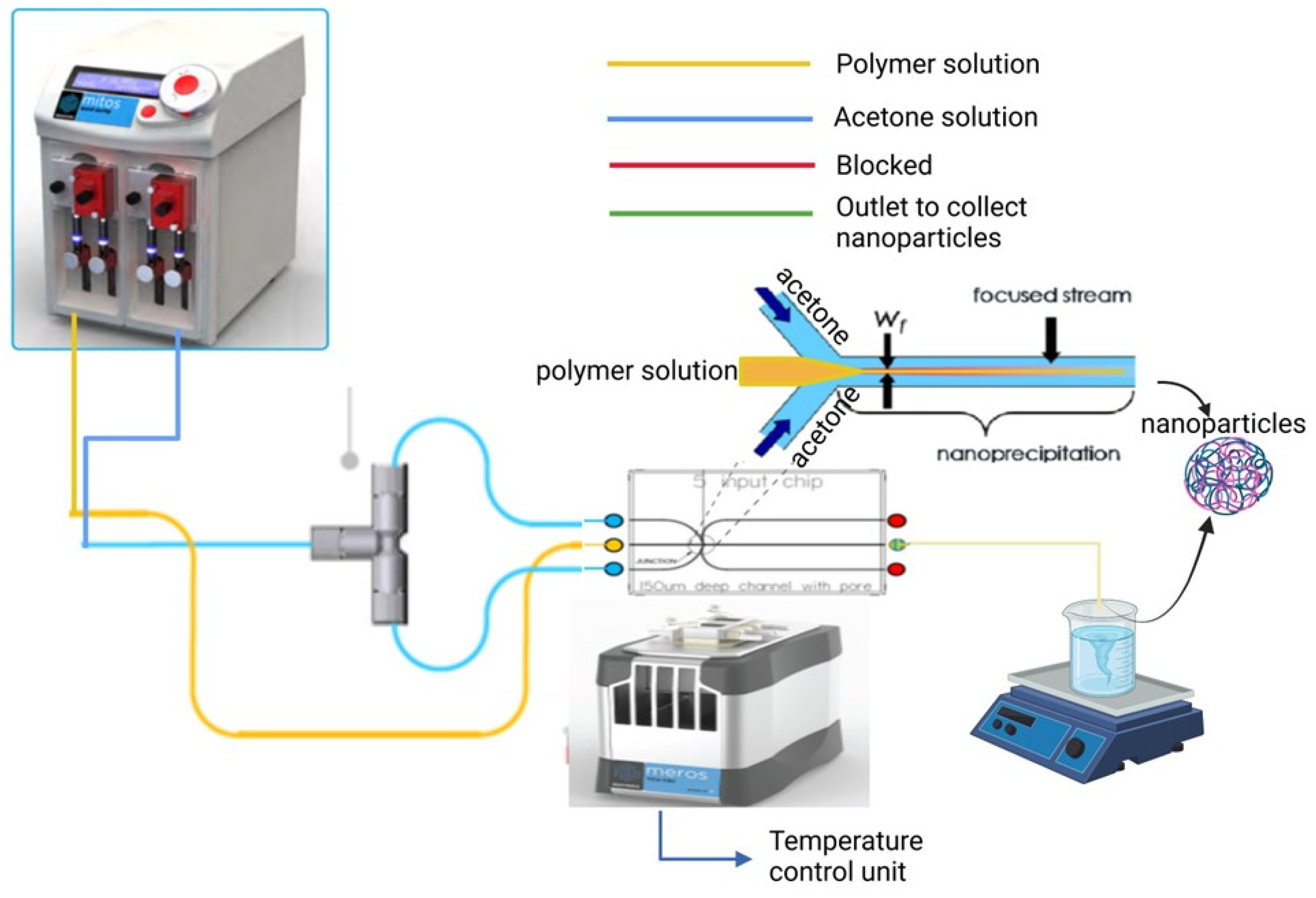 Pharmaceutics 17 00452 g001