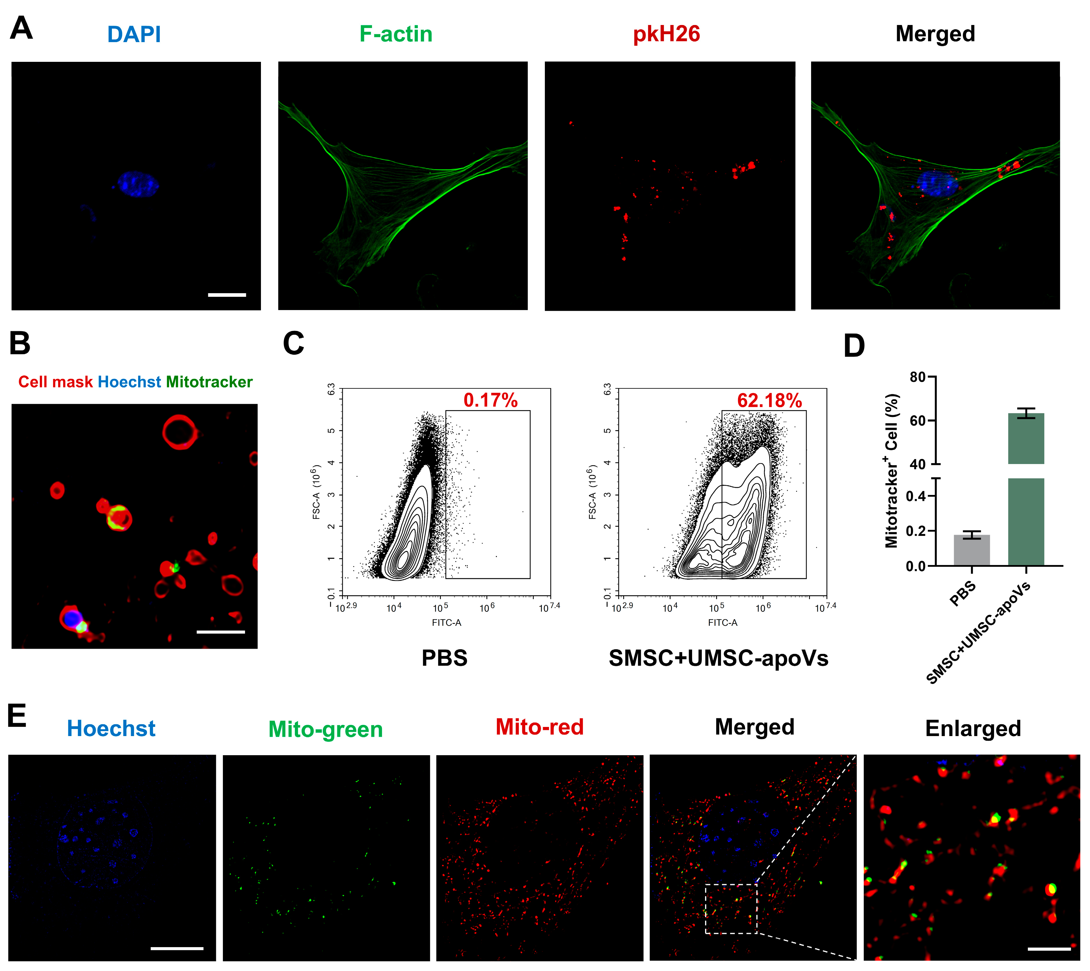 Pharmaceutics 17 00453 g003