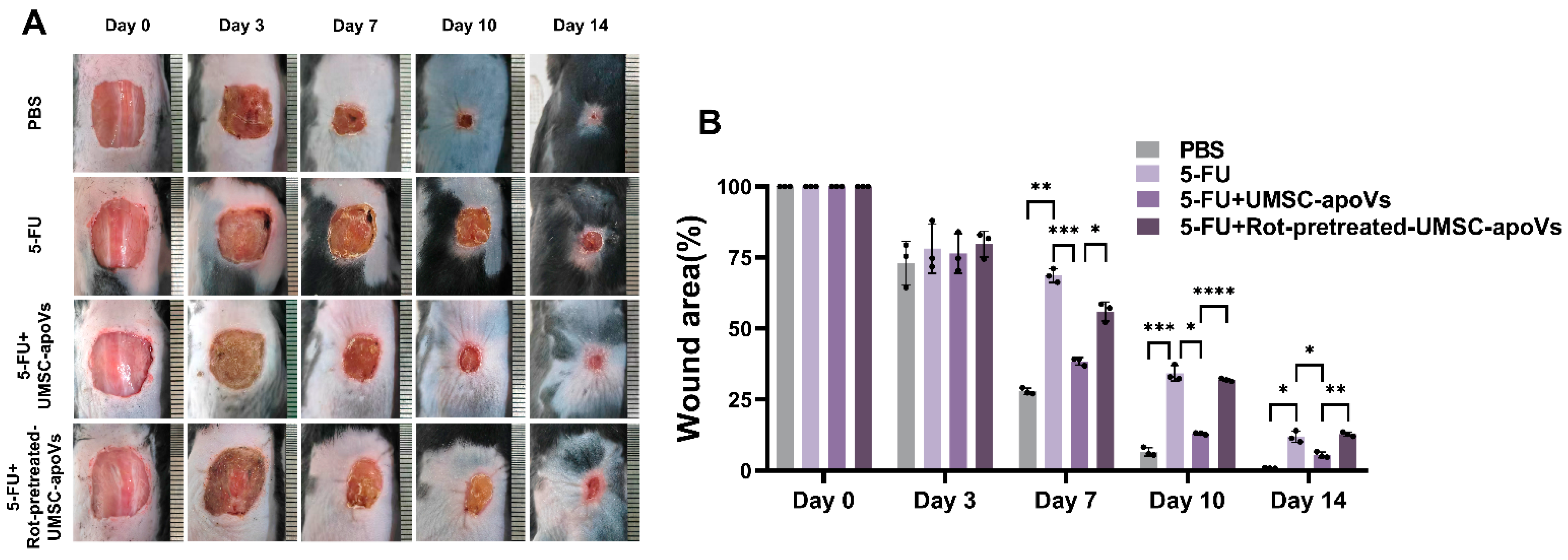 Pharmaceutics 17 00453 g004