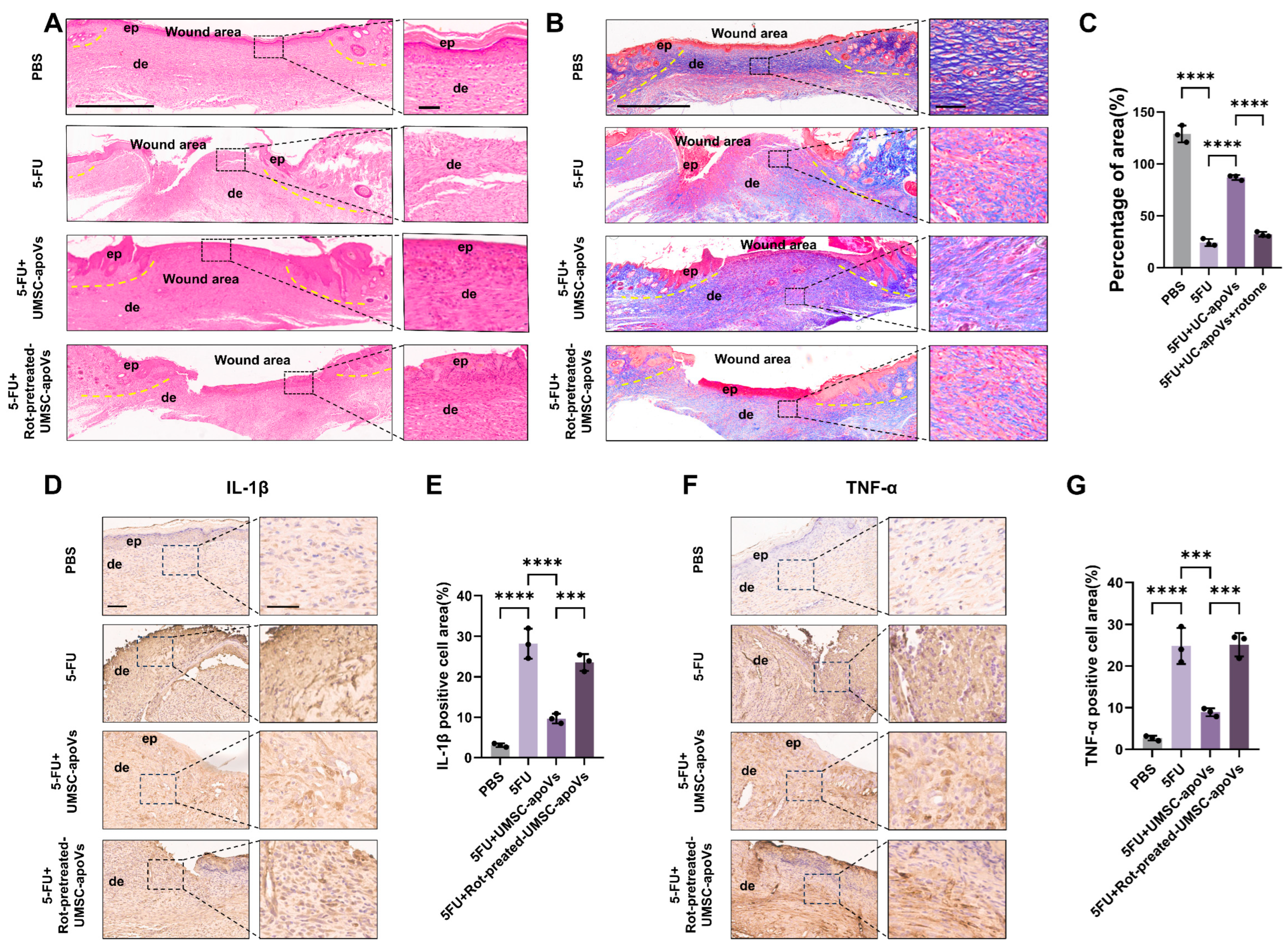 Pharmaceutics 17 00453 g005