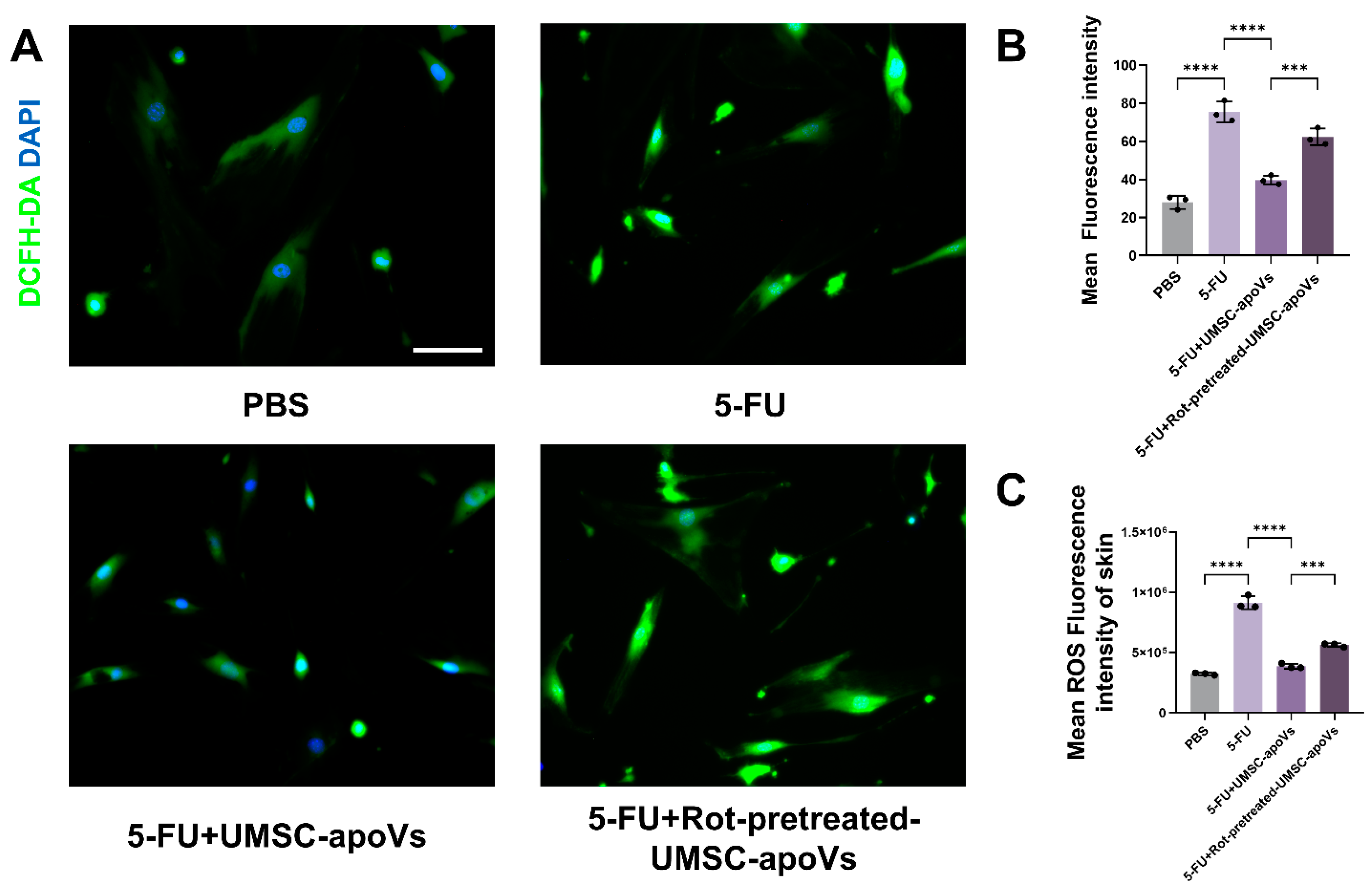 Pharmaceutics 17 00453 g007