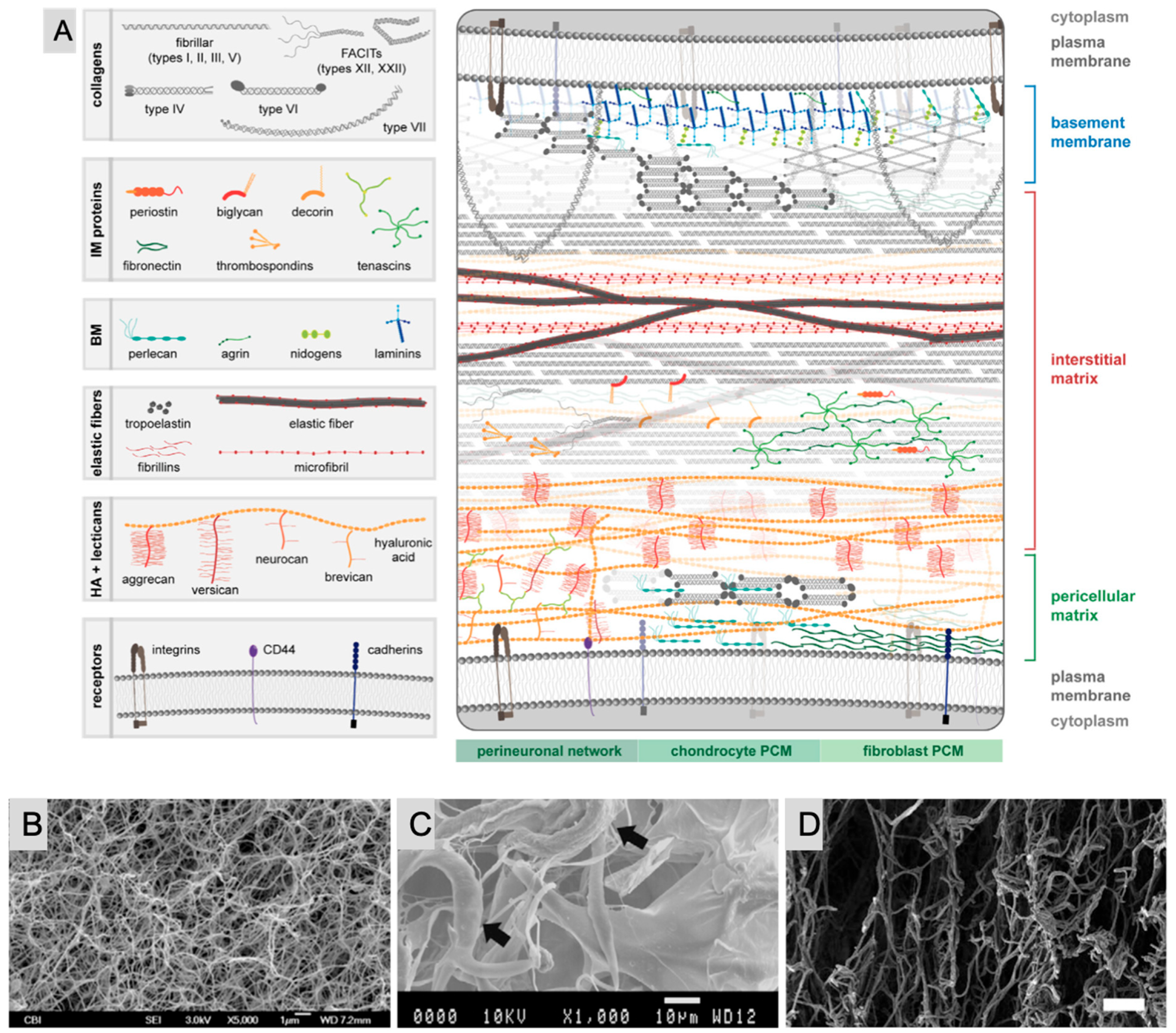 Pharmaceutics 17 00456 g002