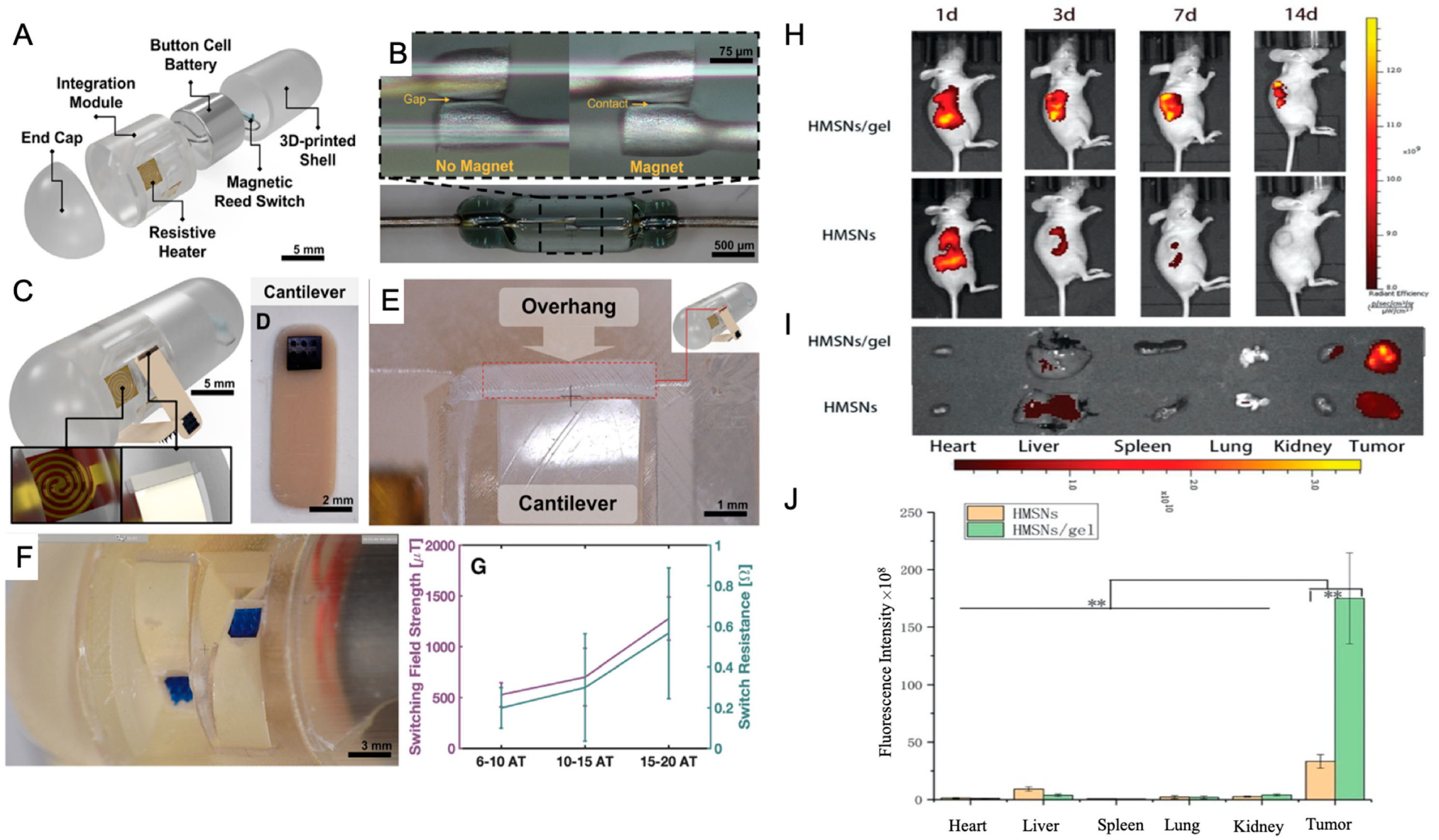 Pharmaceutics 17 00456 g004