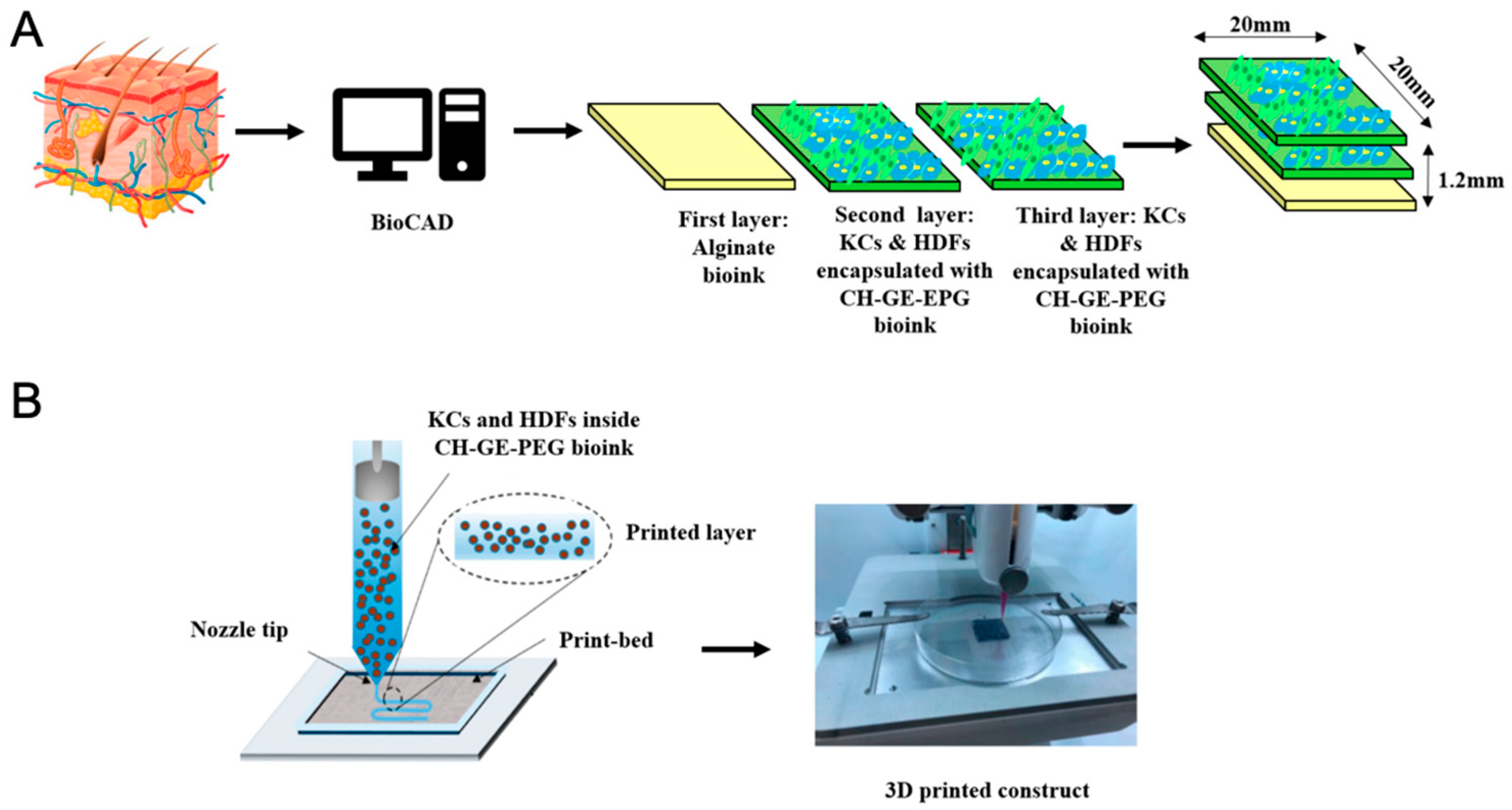 Pharmaceutics 17 00456 g006