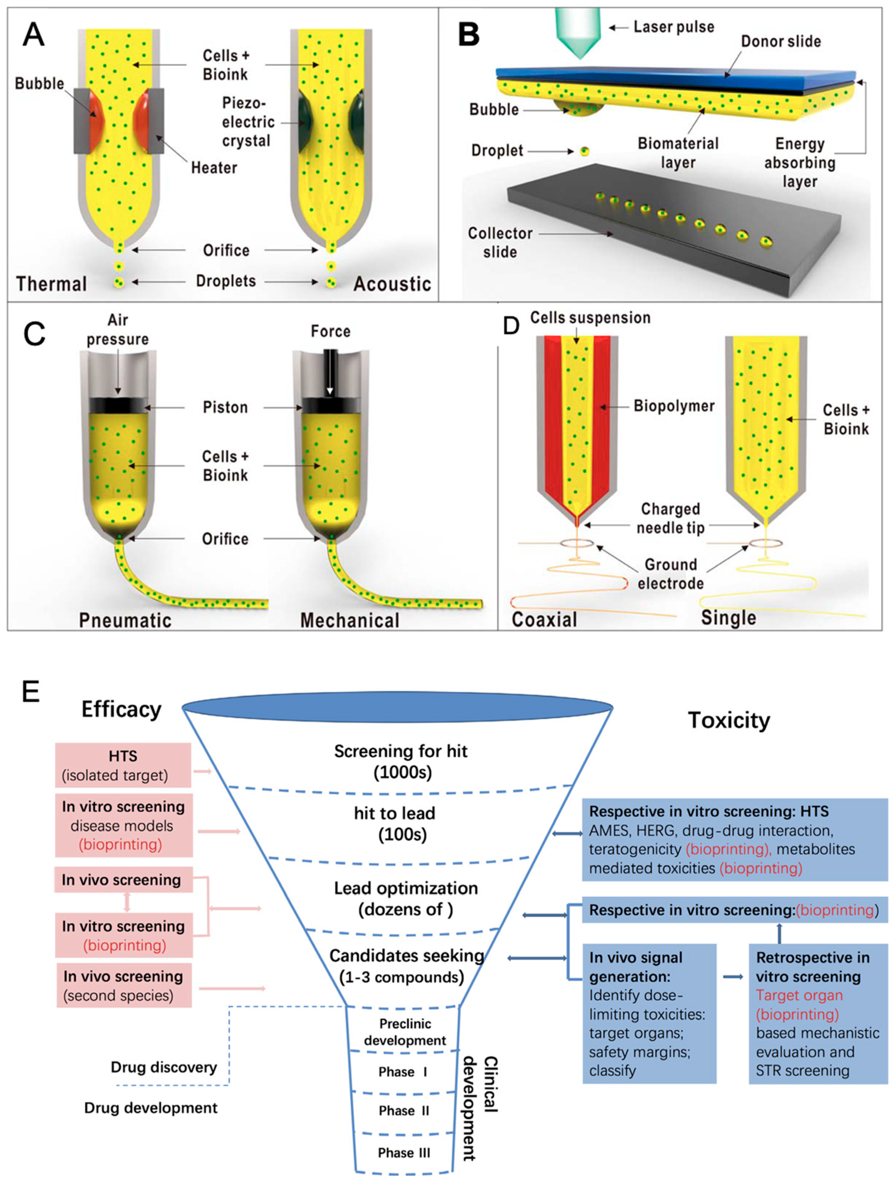 Pharmaceutics 17 00456 g007
