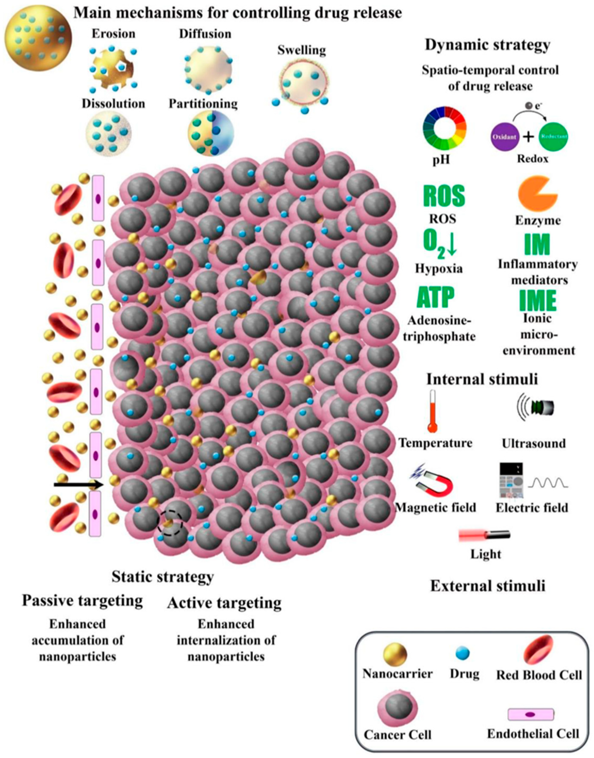 Pharmaceutics 17 00456 g009