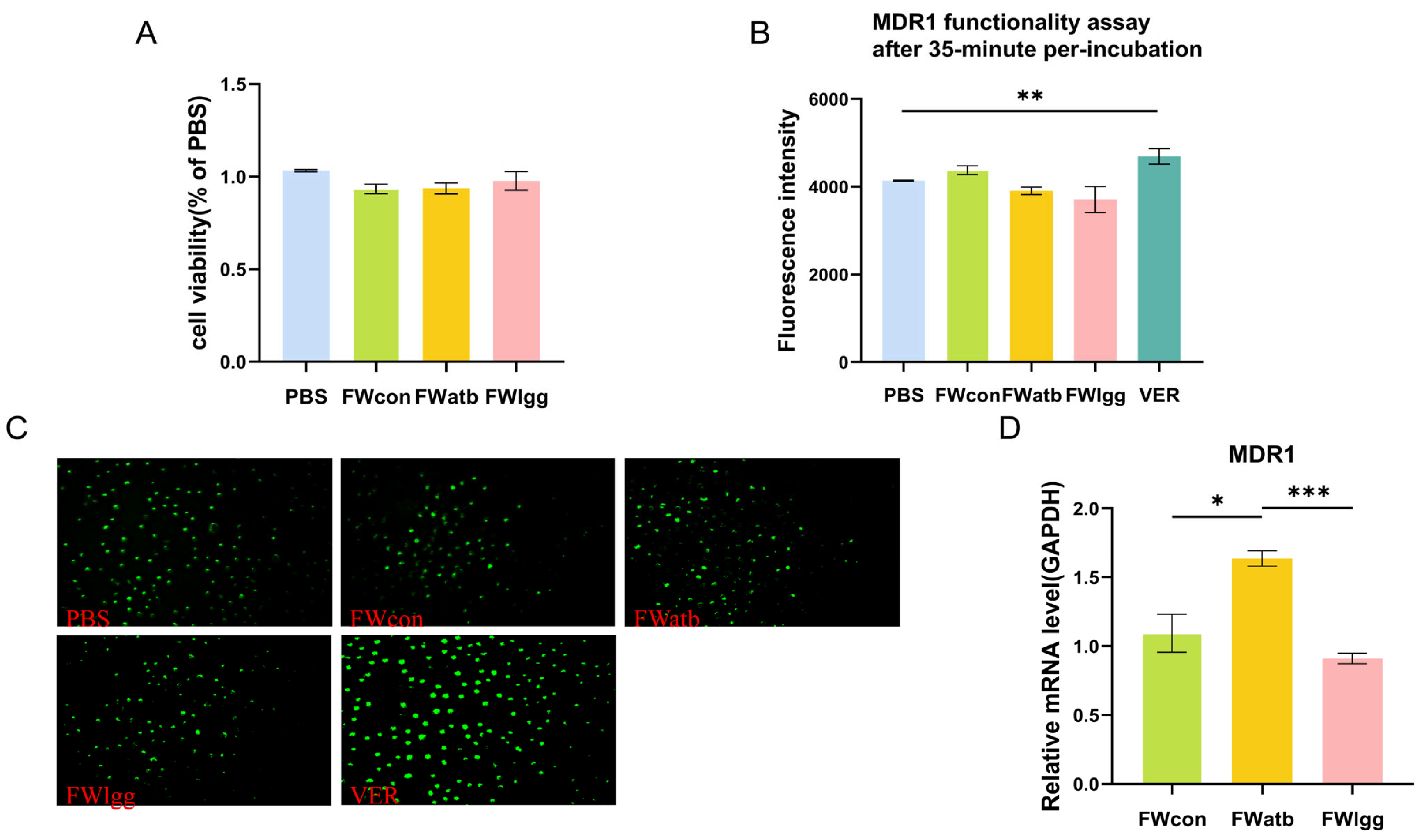Pharmaceutics 17 00457 g005