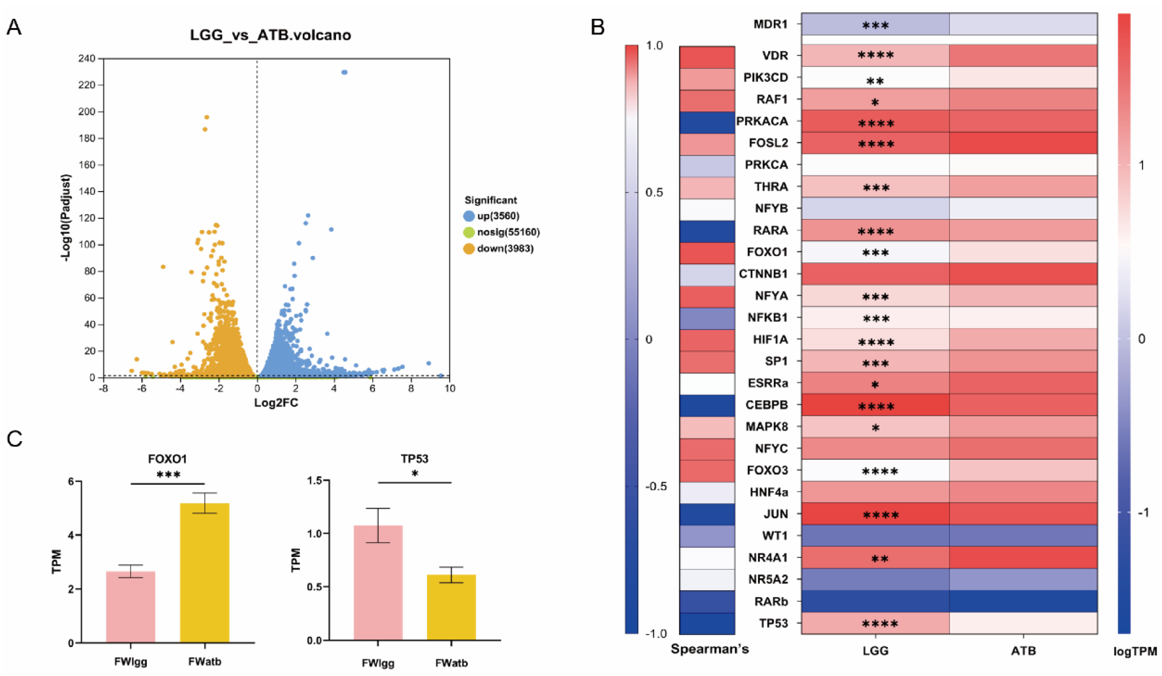 Pharmaceutics 17 00457 g006