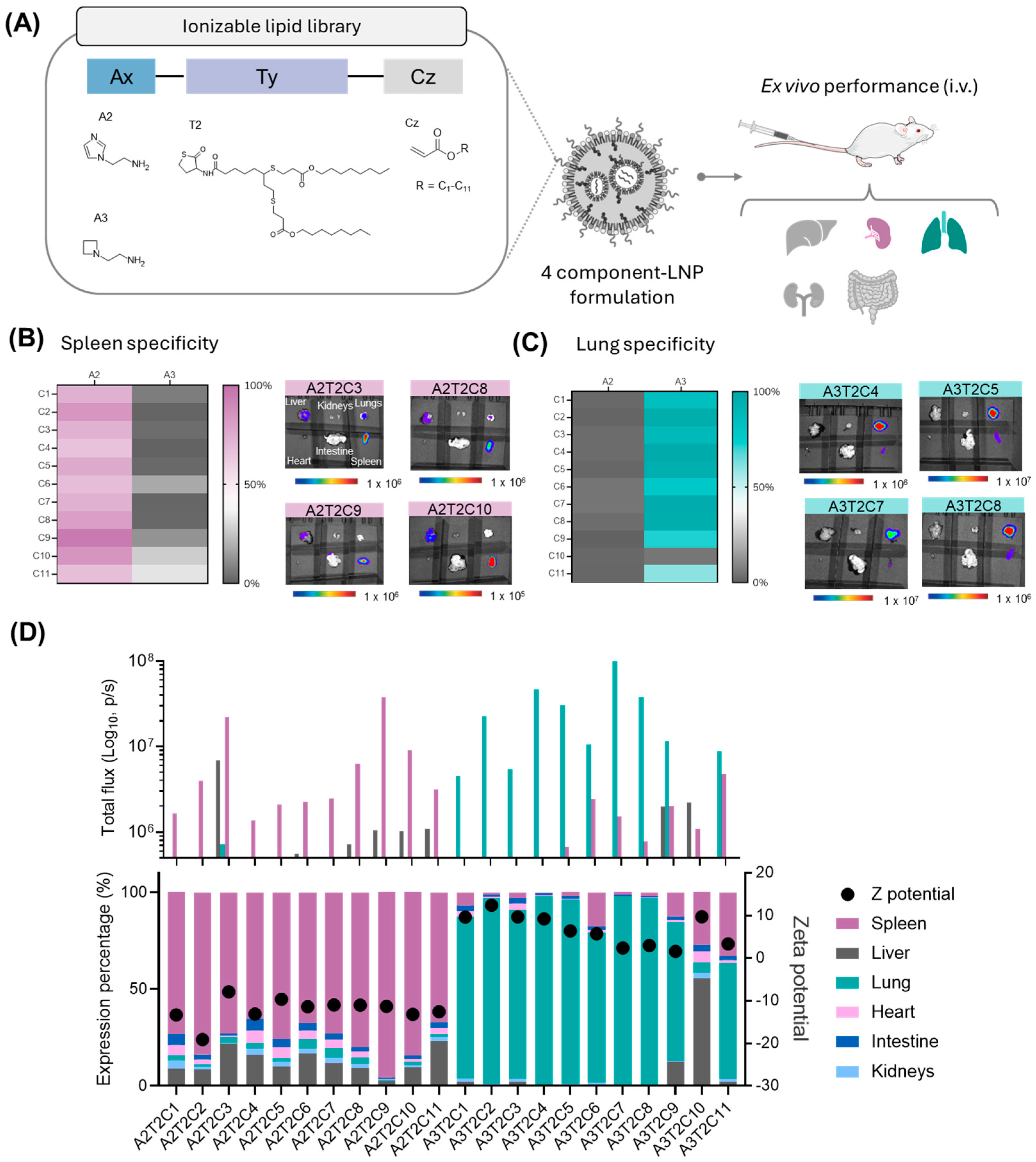 Pharmaceutics 17 00459 g003